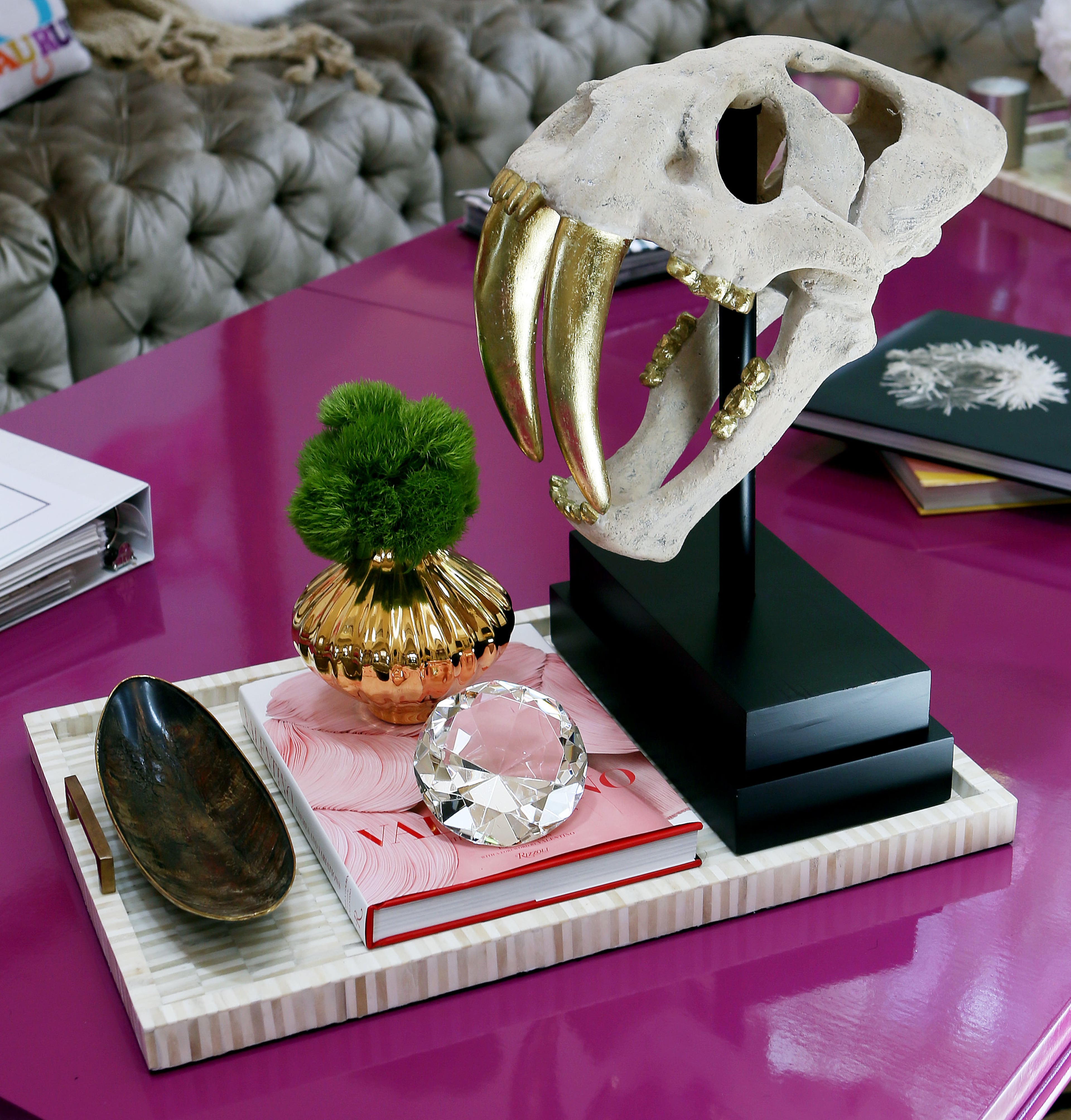 A sabertooth tiger skull with gold teeth sits on a fuchsia table in the family room.