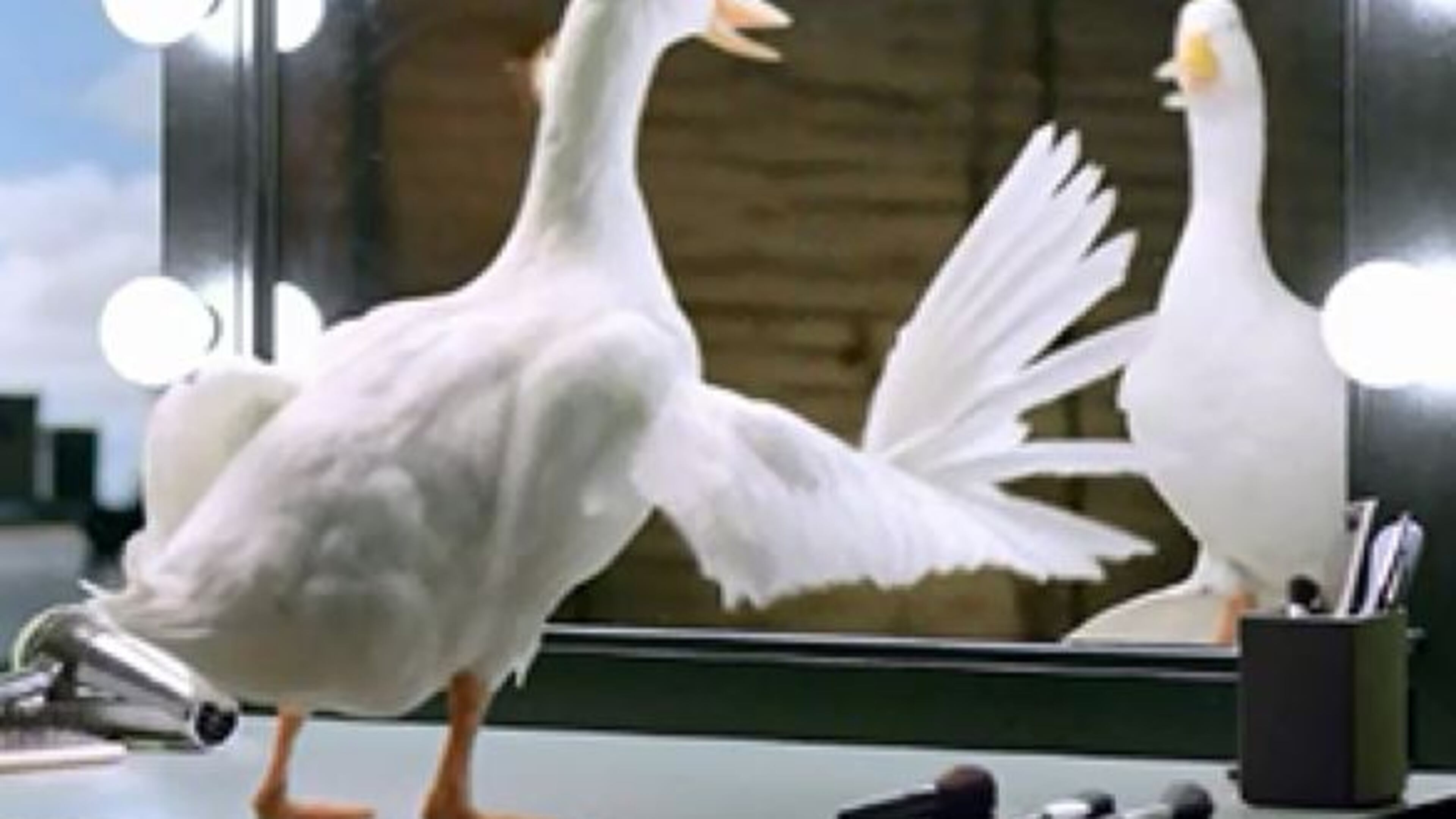 Aflac will invest $250 million in the next three to five years to expand its employees benefits and community engagement programs. (Handoout photo)