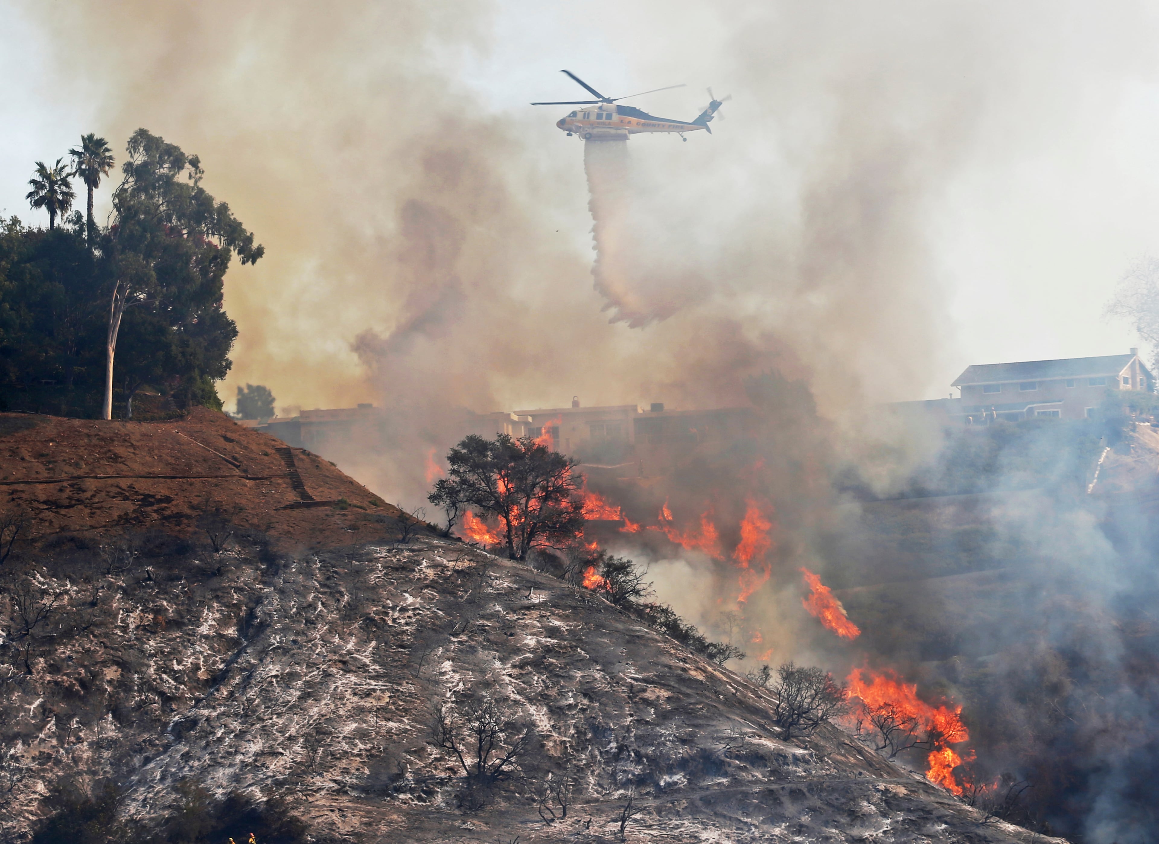 A Los Angeles County Fire Department helicopter makes a water drop on flames sweeping up a steep canyon wall, threatening homes on a ridge line after the Skirball wildfire swept through the Bel Air district of Los Angeles, Wednesday, Dec. 6, 2017. (AP Photo/Reed Saxon)