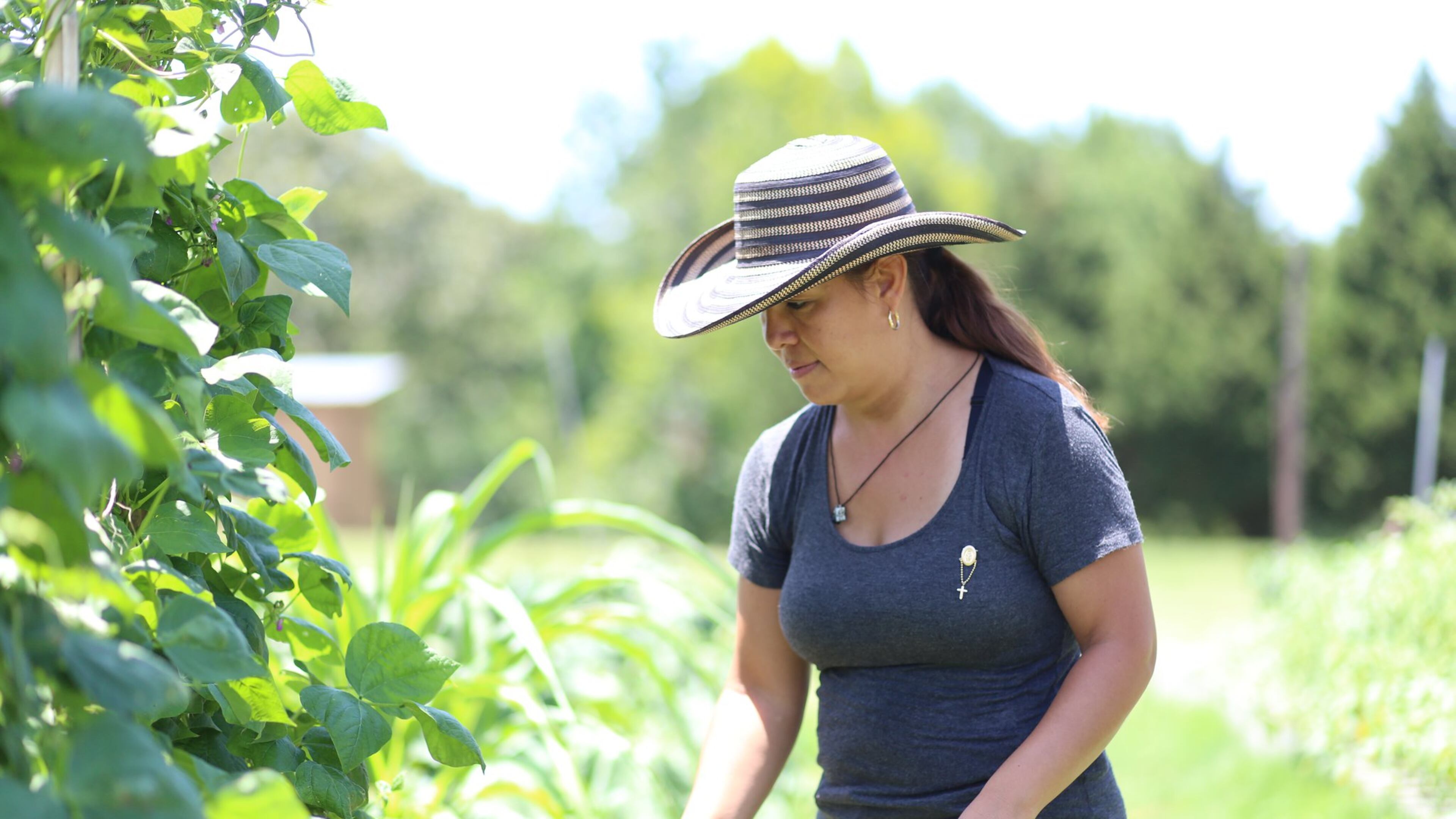 Pilar Quintero on her farm, a business she manages together with her family. Miguel Martínez/MundoHispánico