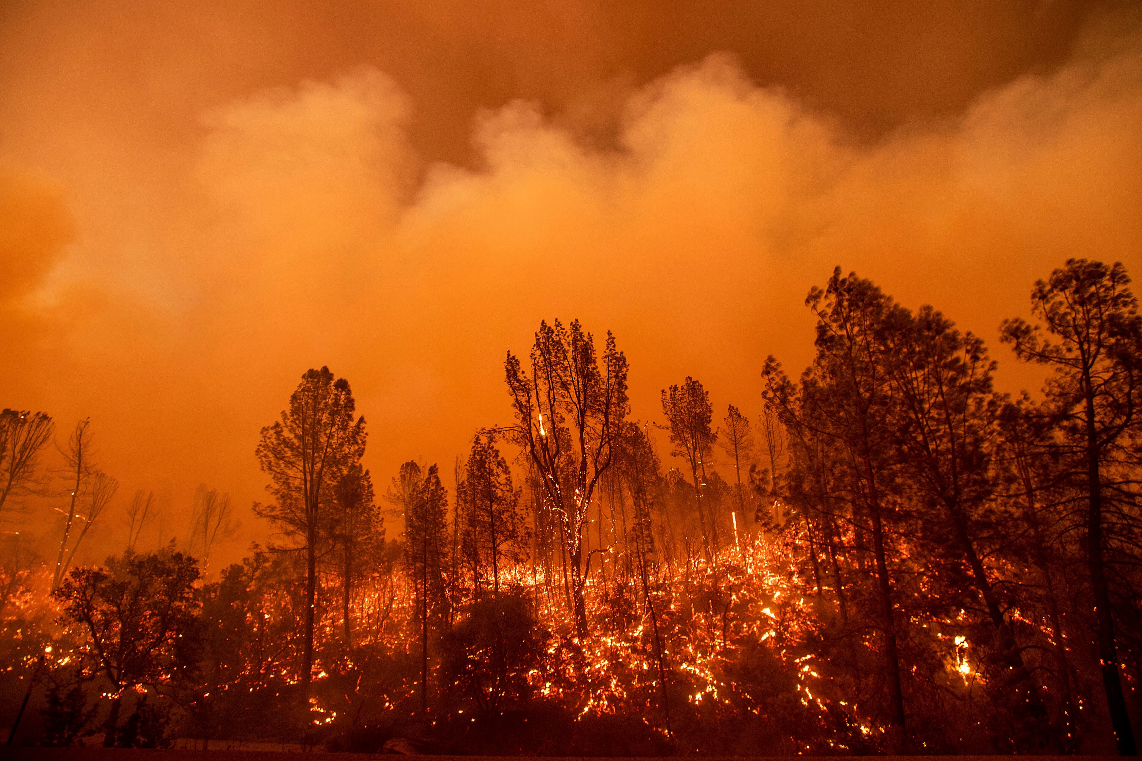 The Carr Fire burns along Highway 299 in Redding, Calif., on Thursday, July 26, 2018. (AP Photo/Noah Berger)