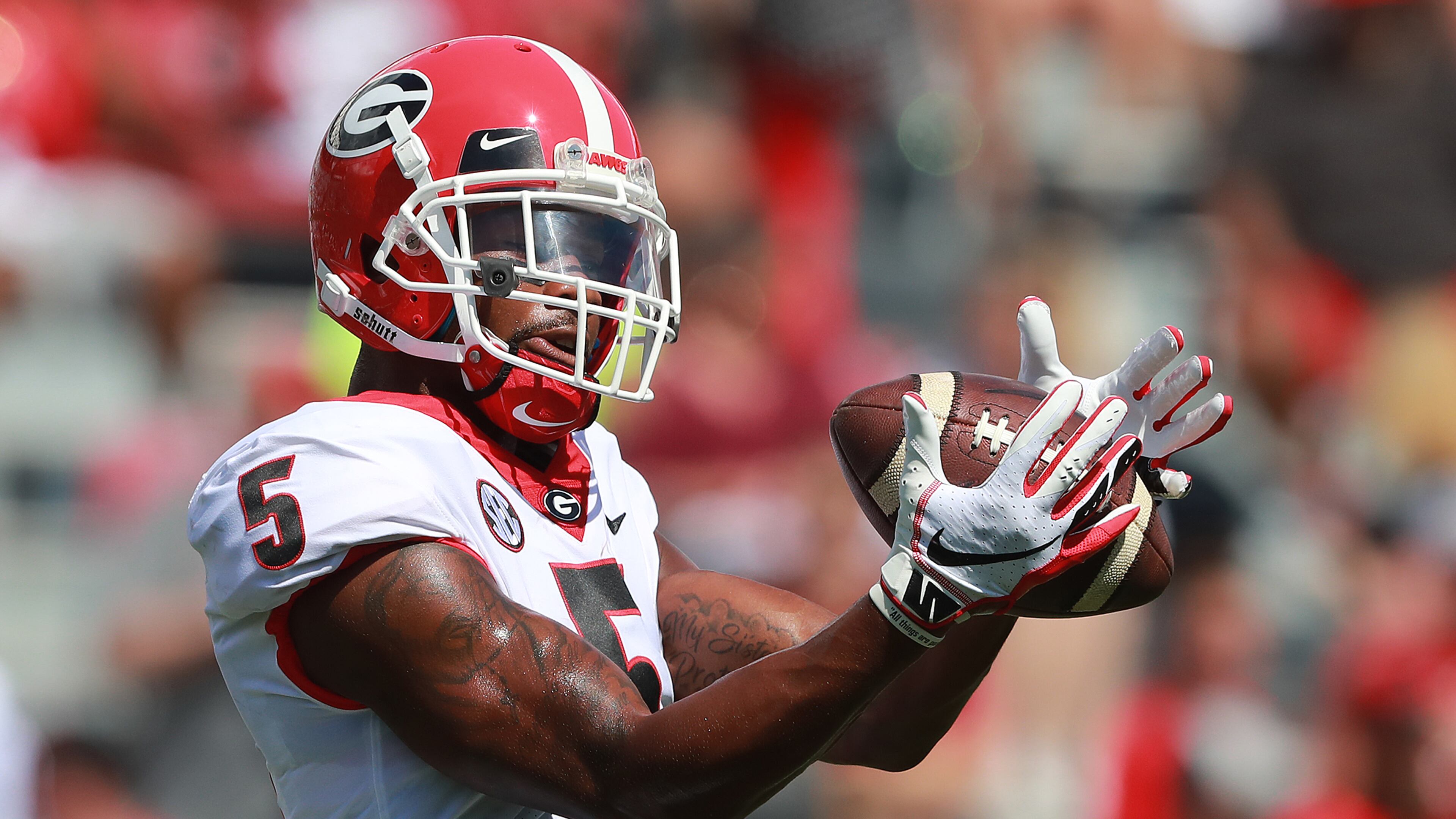 Georgia wide receiver Terry Godwin.