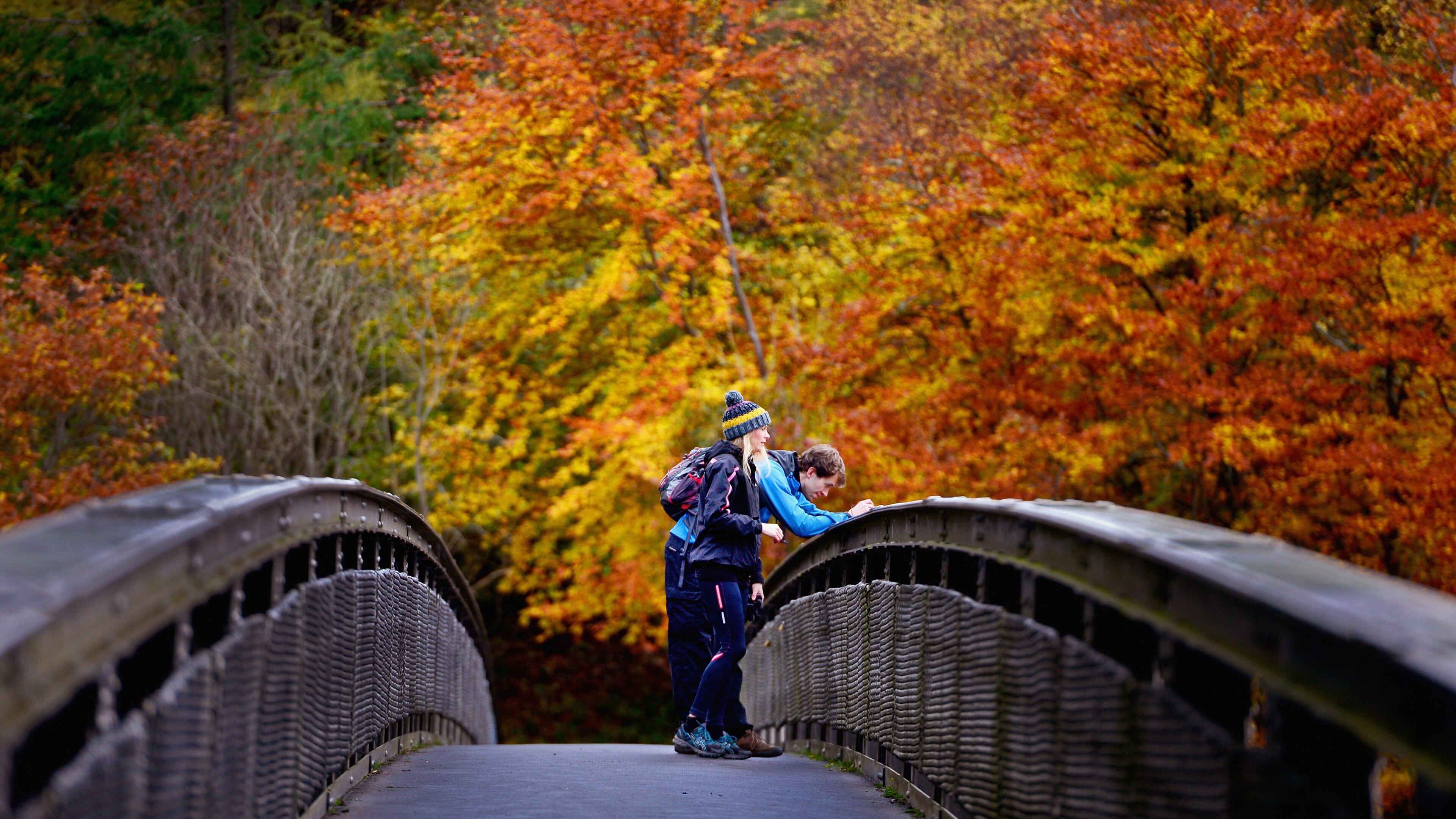 Fall colors may be slow to show themselves this year, but as the weather gets cooler, rich colors begin to emerge.