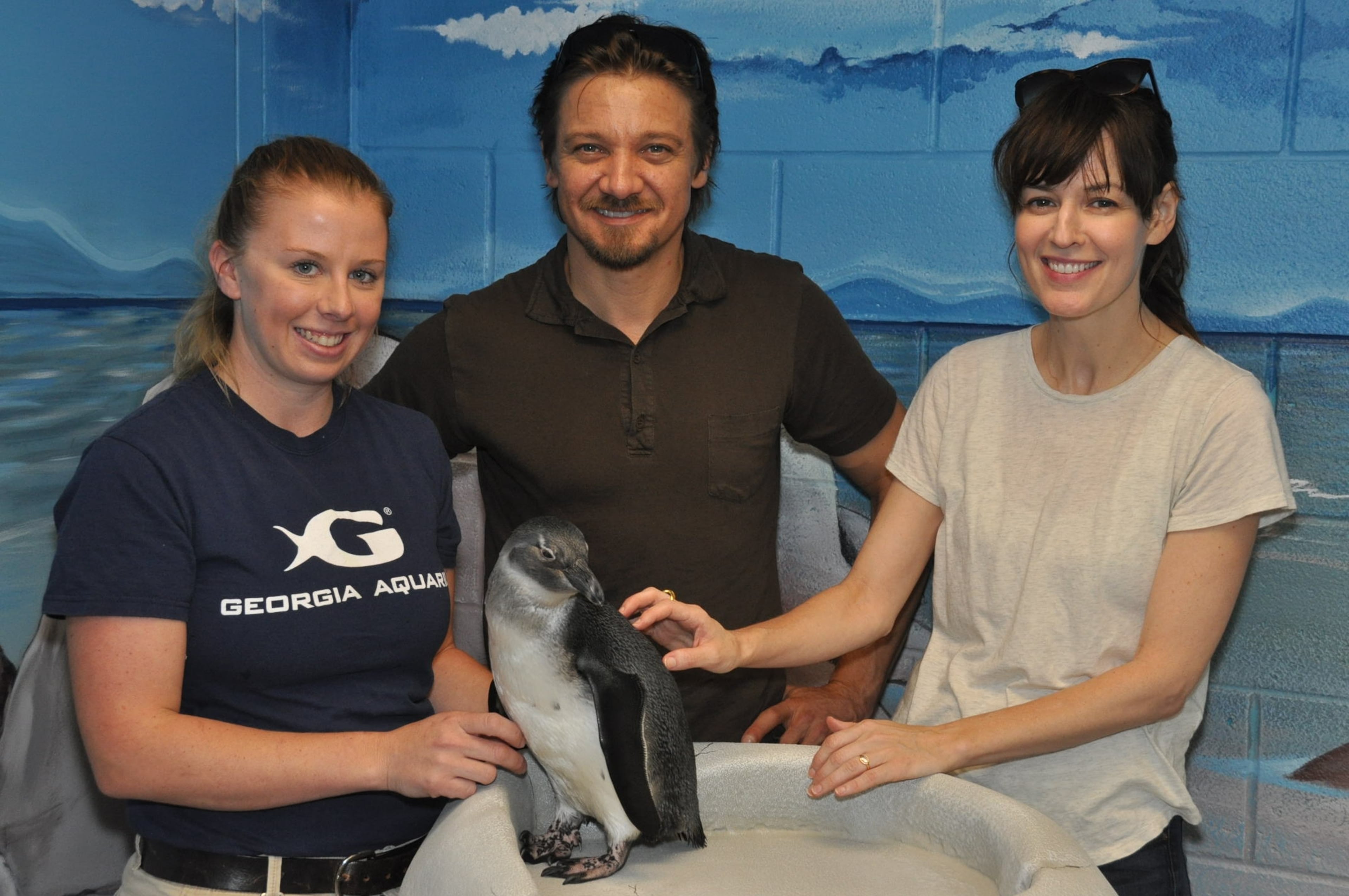 Jeremy Renner and RoseMarie DeWitt visited with penguins while they were in town filming "Kill the Messenger" in August 2013.