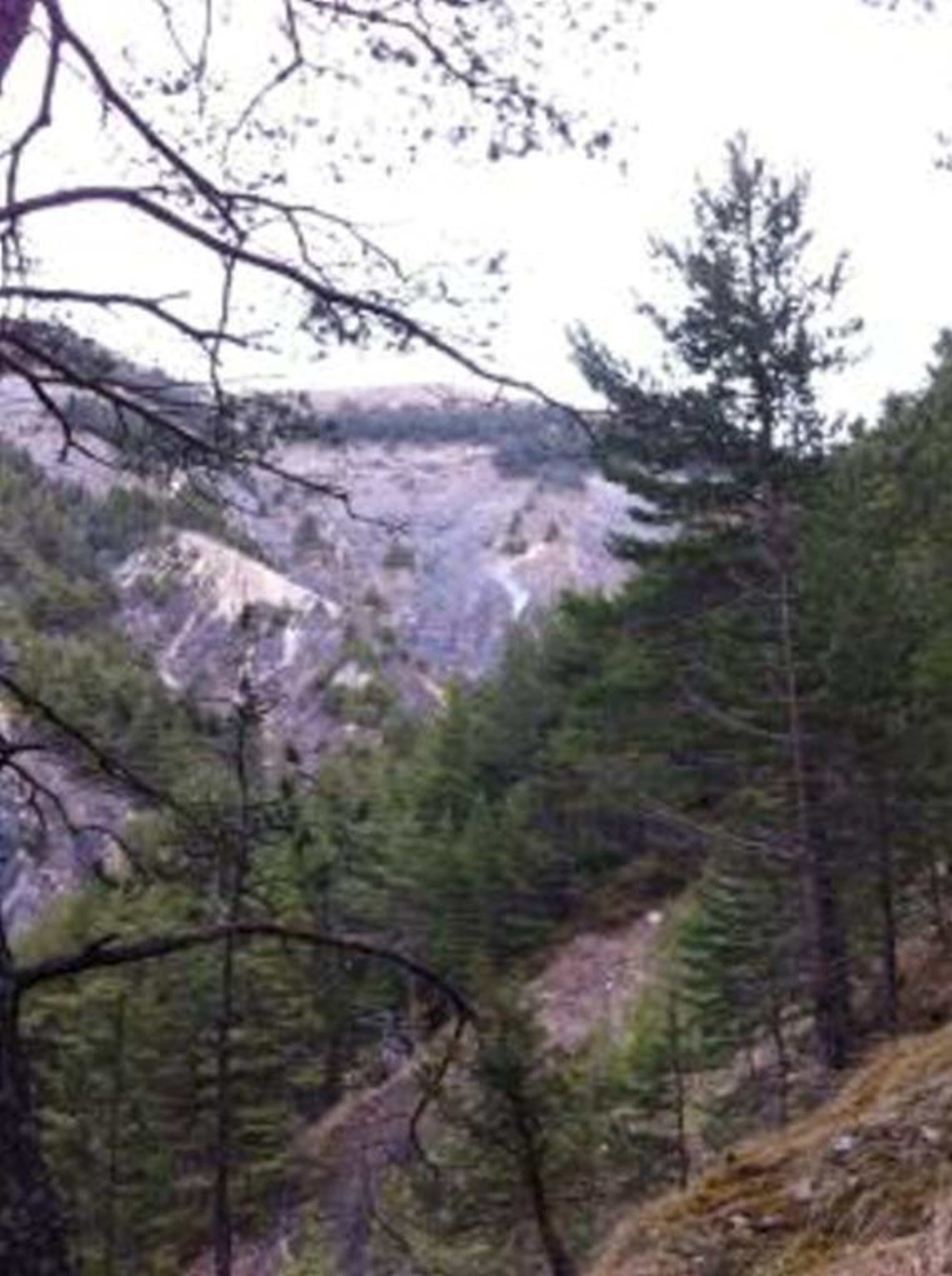 A general view of the crash site of a Germanwings Airbus A320 in the French Alps above Seyne-les-Alpes is pictured in this photo provided by the French Gendarmerie March 24, 2015. The Airbus plane operated by Lufthansa's Germanwings budget airline, en route from Barcelona to Duesseldorf, crashed in a remote snowy area of the French Alps on Tuesday, killing all 150 on board including 16 schoolchildren. REUTERS/French Gendarmerie/Handout via REUTERS FOR EDITORIAL USE ONLY. NOT FOR SALE FOR MARKETING OR ADVERTISING CAMPAIGNS. BEST QUALITY AVAILABLE ATTENTION EDITORS - THIS IMAGE WAS PROVIDED BY A THIRD PARTY. FOR EDITORIAL USE ONLY. NOT FOR SALE FOR MARKETING OR ADVERTISING CAMPAIGNS. NO SALES. NO ARCHIVES.