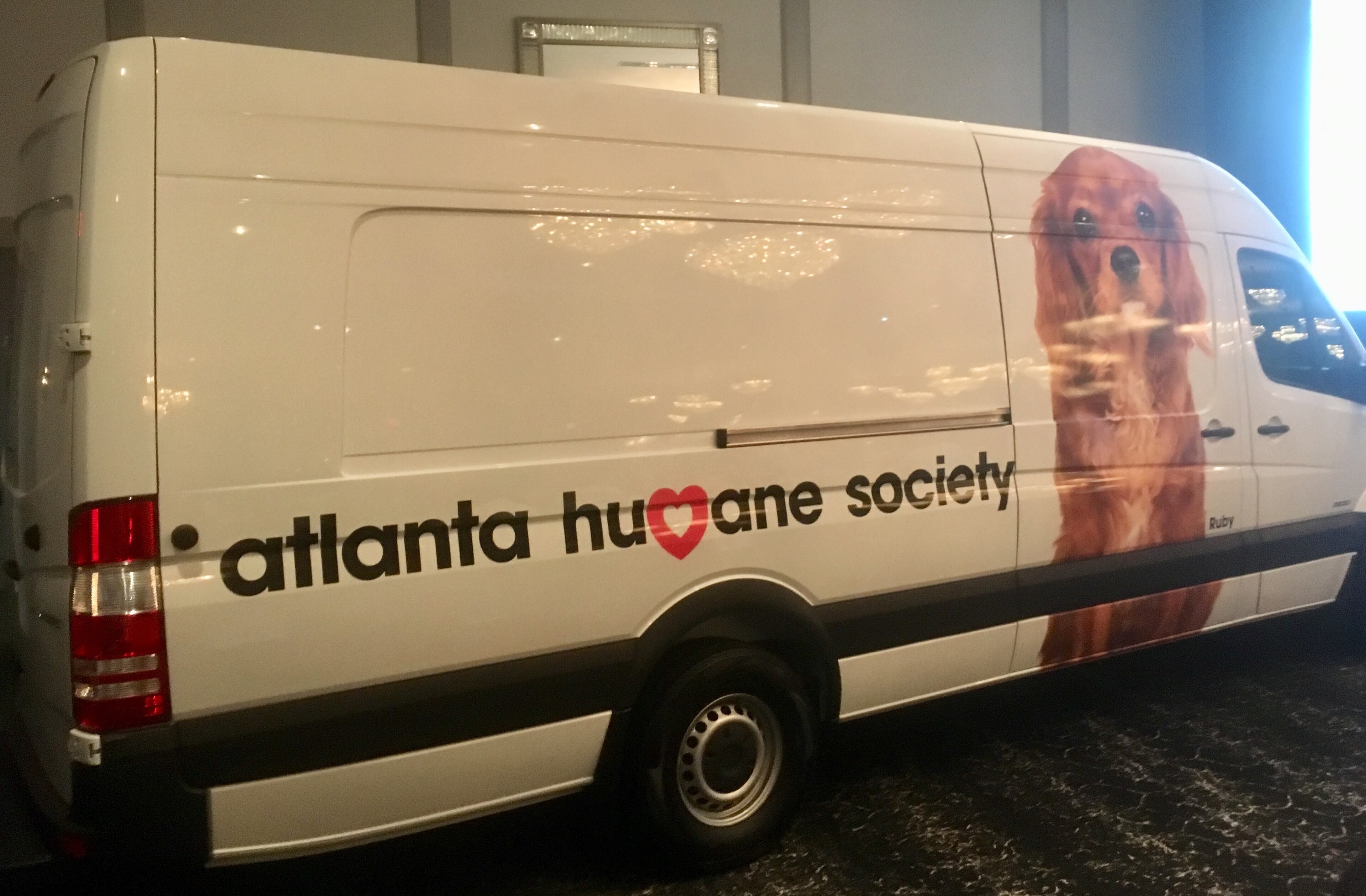 The Flourish venue was once a car dealership, making it the perfect spot if your event decor includes vehicles!