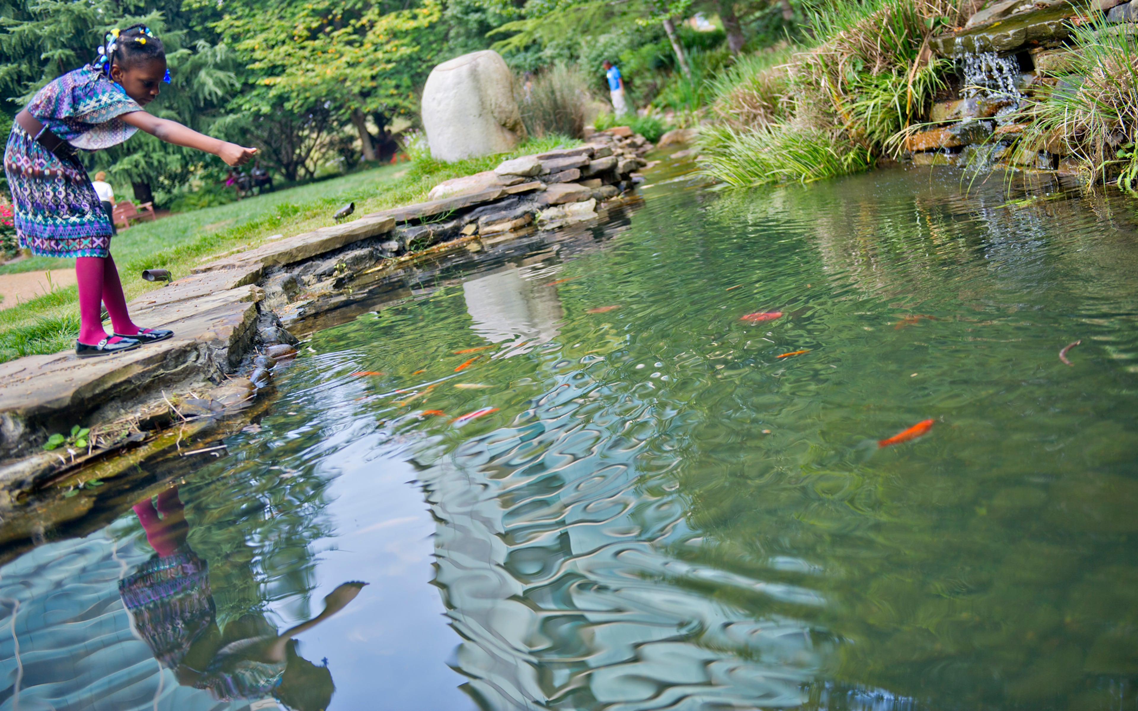 September 15, 2013 Atlanta - Isreal Russell checks out the coy pond behind Villa Christina in Atlanta as she waits for the start of the first annual Fowler Family Celebration of Love on Sunday, September 15, 2013. Put together by Willie H. Fowler, his family and the Hosea Feed the Hungry organization, the dinner came about after cancelled wedding plans were transformed into an opportunity to feed 200 homeless individuals and families. JONATHAN PHILLIPS / SPECIAL