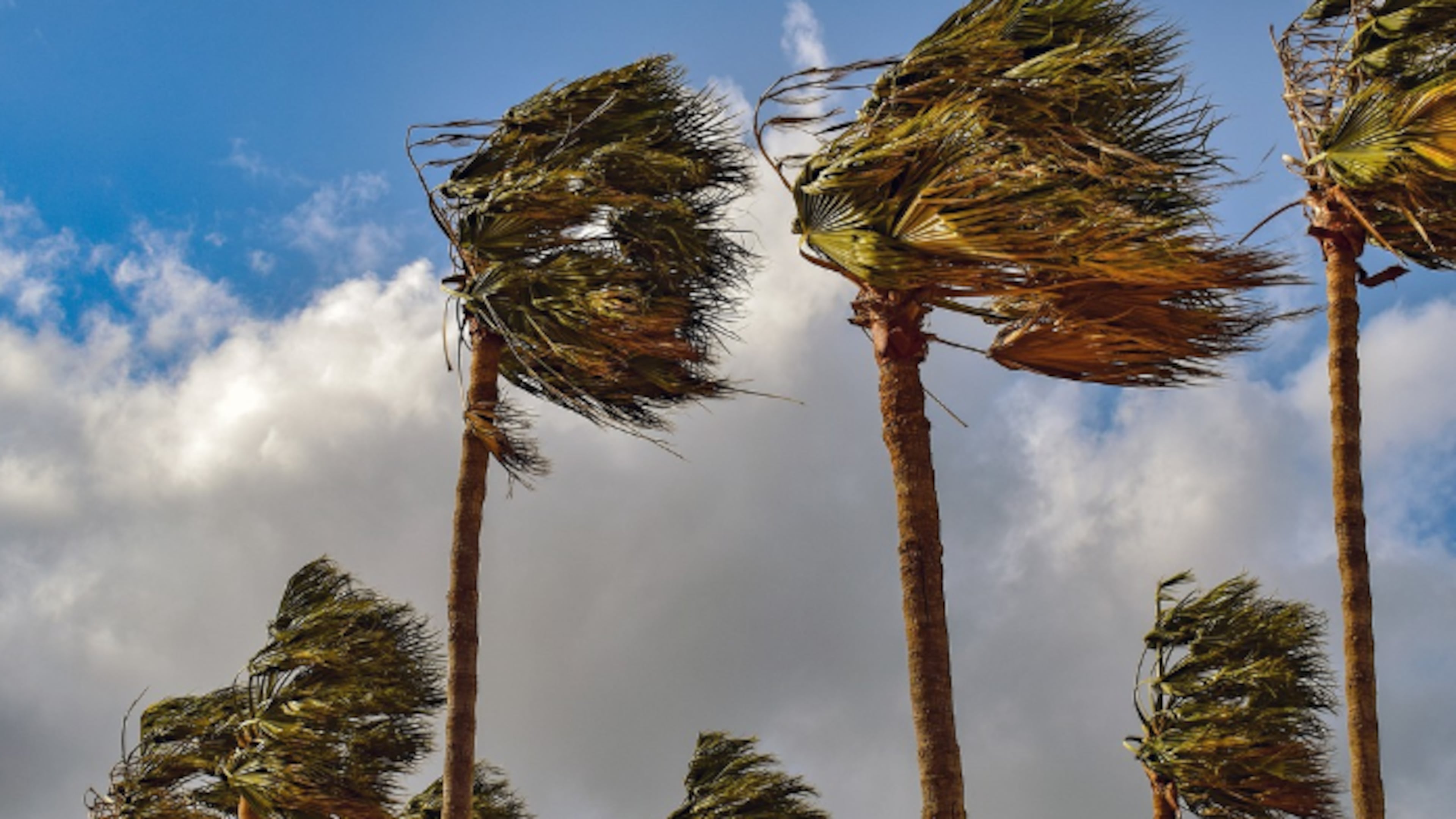 The threat of powerful storms will shift to the Gulf Coast on Wednesday, when dangerous weather will be possible over southeast Louisiana, southern Mississippi, south Alabama and the Florida Panhandle, the Storm Prediction Center is projecting.