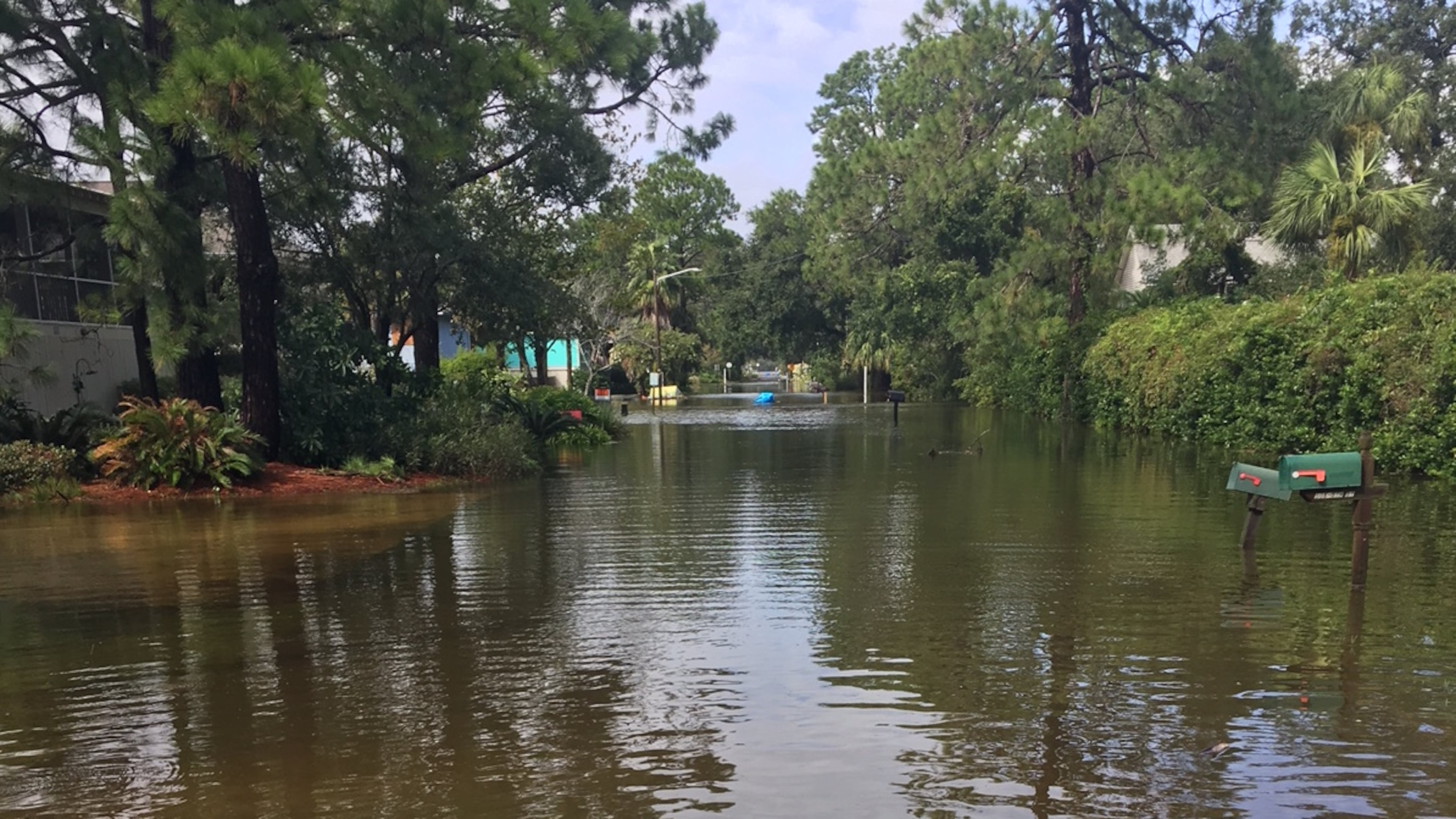 Irma swamped Tybee Island. Here's Miller Avenue during the height of the flooding. Photo: Courtesy of Will Jarvis