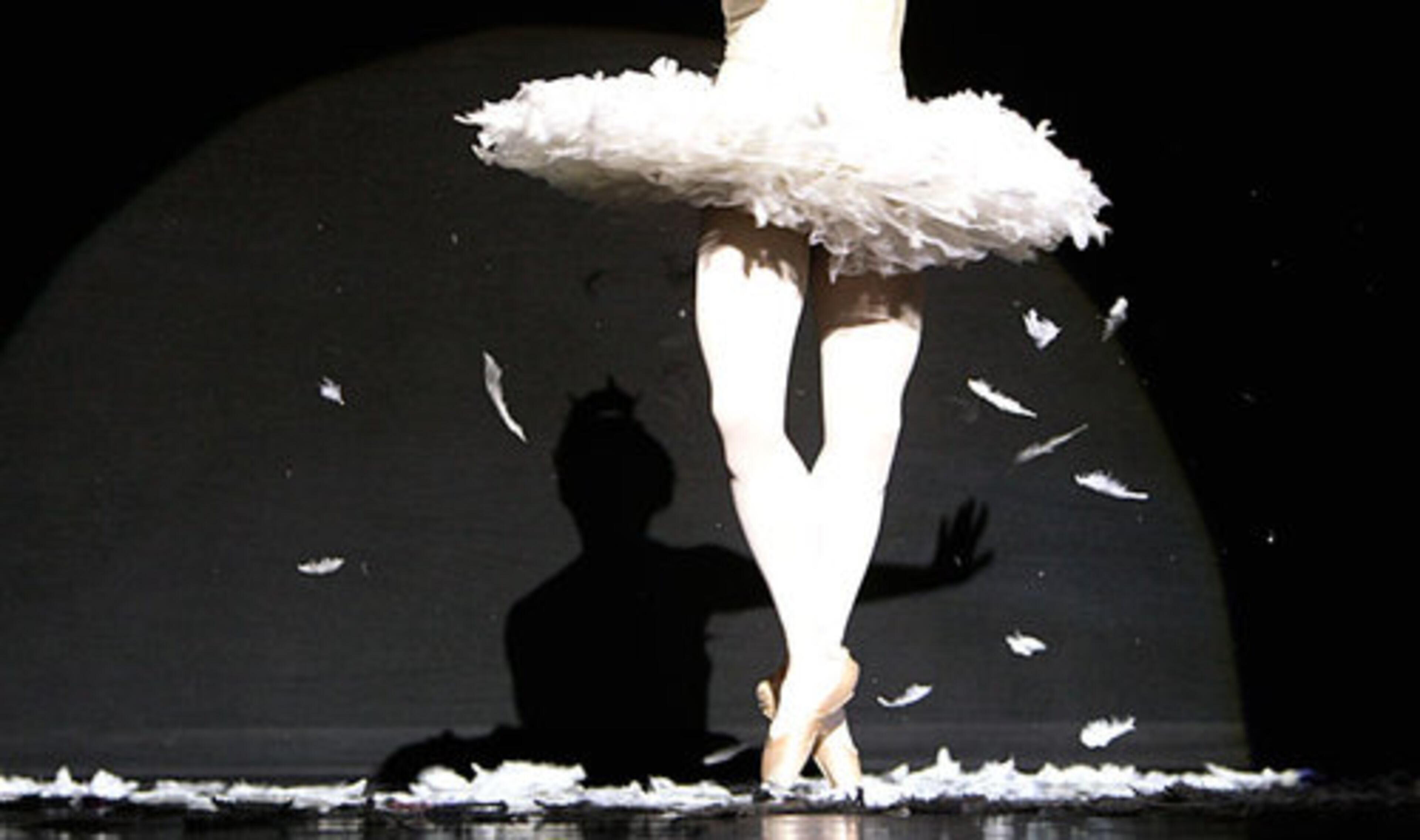 As their promotional material describes them: "Combining a wicked comic sense of humor with a devoted respect and true talent for classical dance, the all-male, 16-member "Clown Princes of Ballet" dance the fine line between high art and high camp."