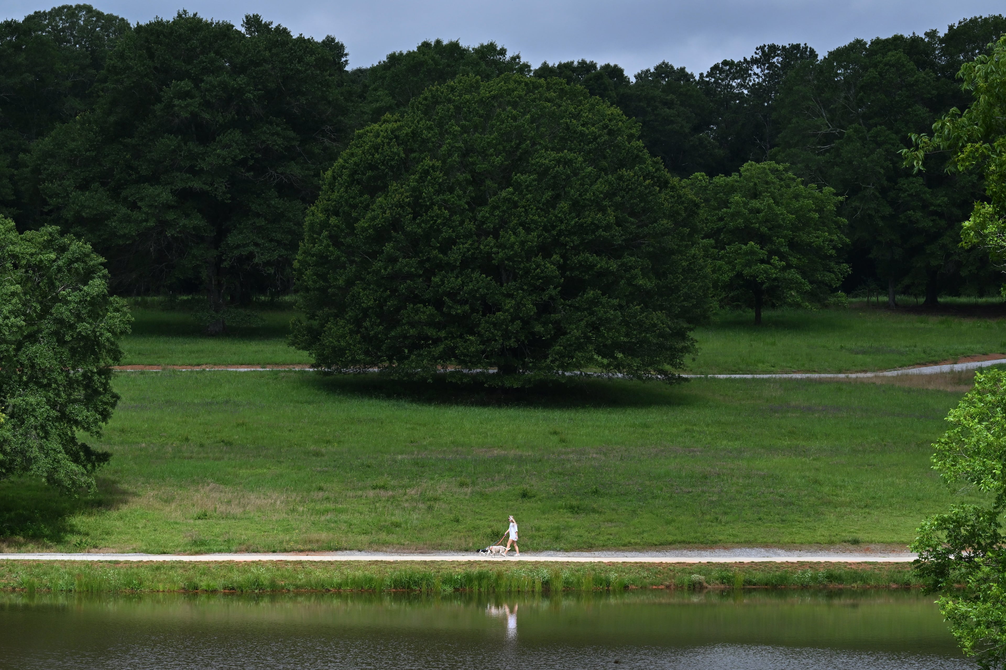 A visitor walks with their dog along some of the miles of paths at the Thomas Farm Preserve on Wednesday, June 18, 2025, in Watkinsville. (Hyosub Shin/AJC)