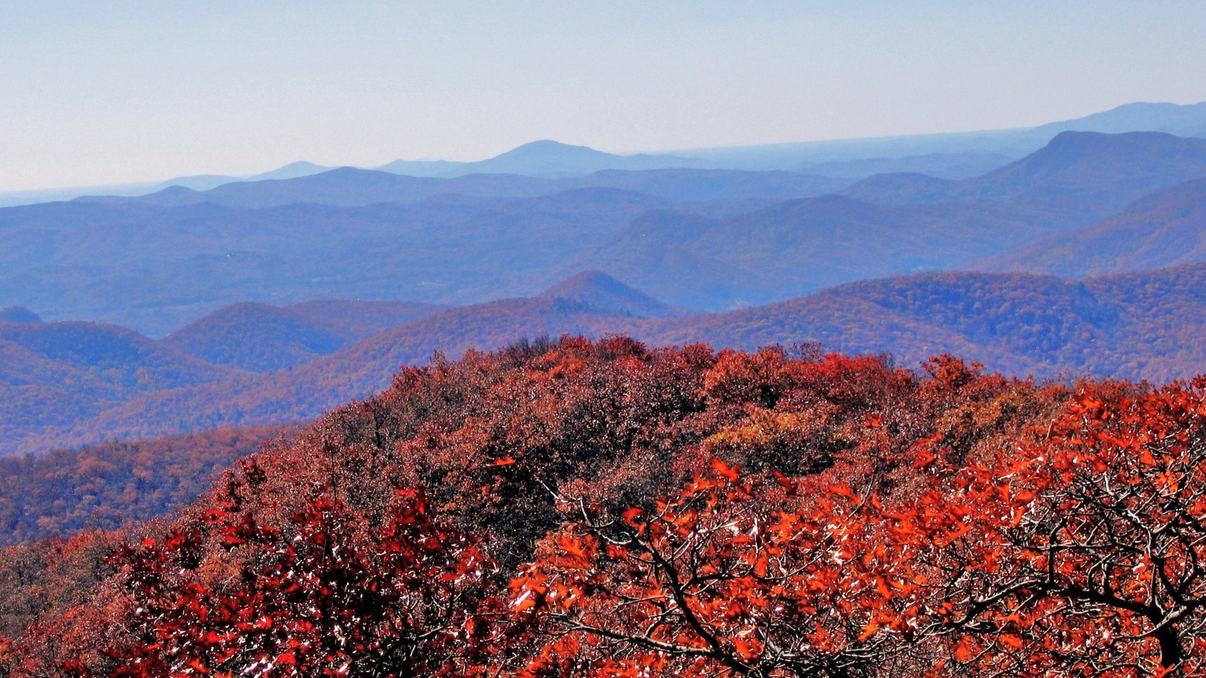 At an elevation of 4,696 feet, Rabun Bald is the tallest mountain in Rabun County and the second-highest peak in Georgia. An observation tower on the summit provides views that extend for more than 100 miles. CONTRIBUTED BY CHARLES SEABROOK