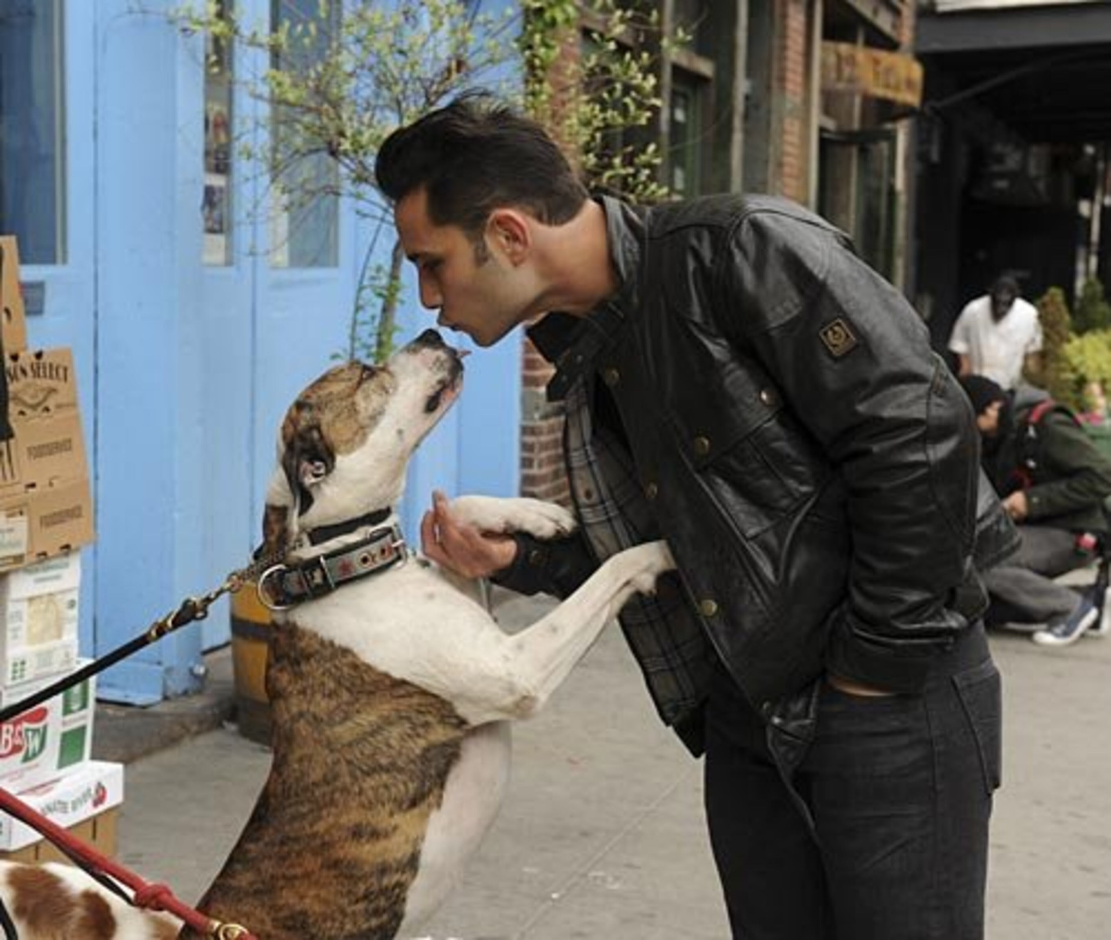 Dog guru Justin Silver, host of the new show "Dogs in the City," puts his talents to work every Wednesday beginning May 30, as he tries to help New York City hounds and humans tackle unsettling problems like joint custody after divorce or dealing with significant others who just moved in. Could some of these dogs become our faves? Maybe. But how will they match up against some of America's top TV dogs like...