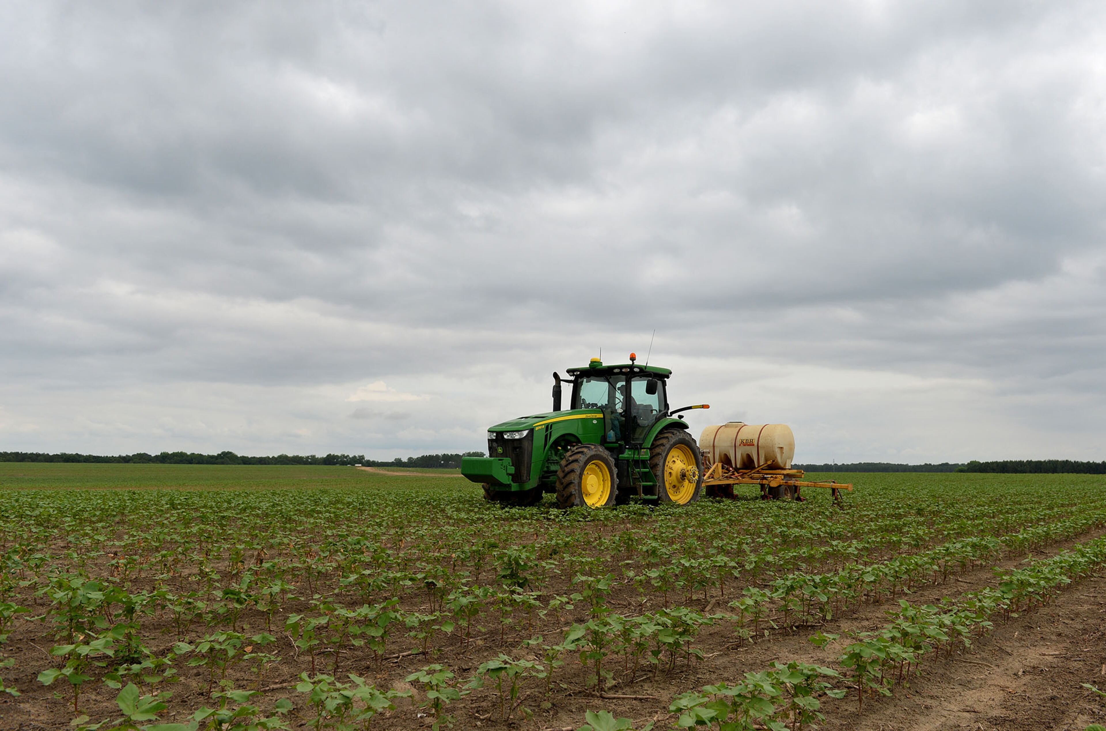 Liquid nitrogen is applied to a cotton field owned by Chuck and Matt Coley in Vienna on June 10, 2015. Farmers are using a variety of technological advances to help them produce higher yields and high profits. Many tractors are equipped with an auto steering system that creates perfect rows and prevents the overlapping of chemical applications. Computer generated maps can tell the farmer the precise condition of the soil and where additional fertilizer might be needed.