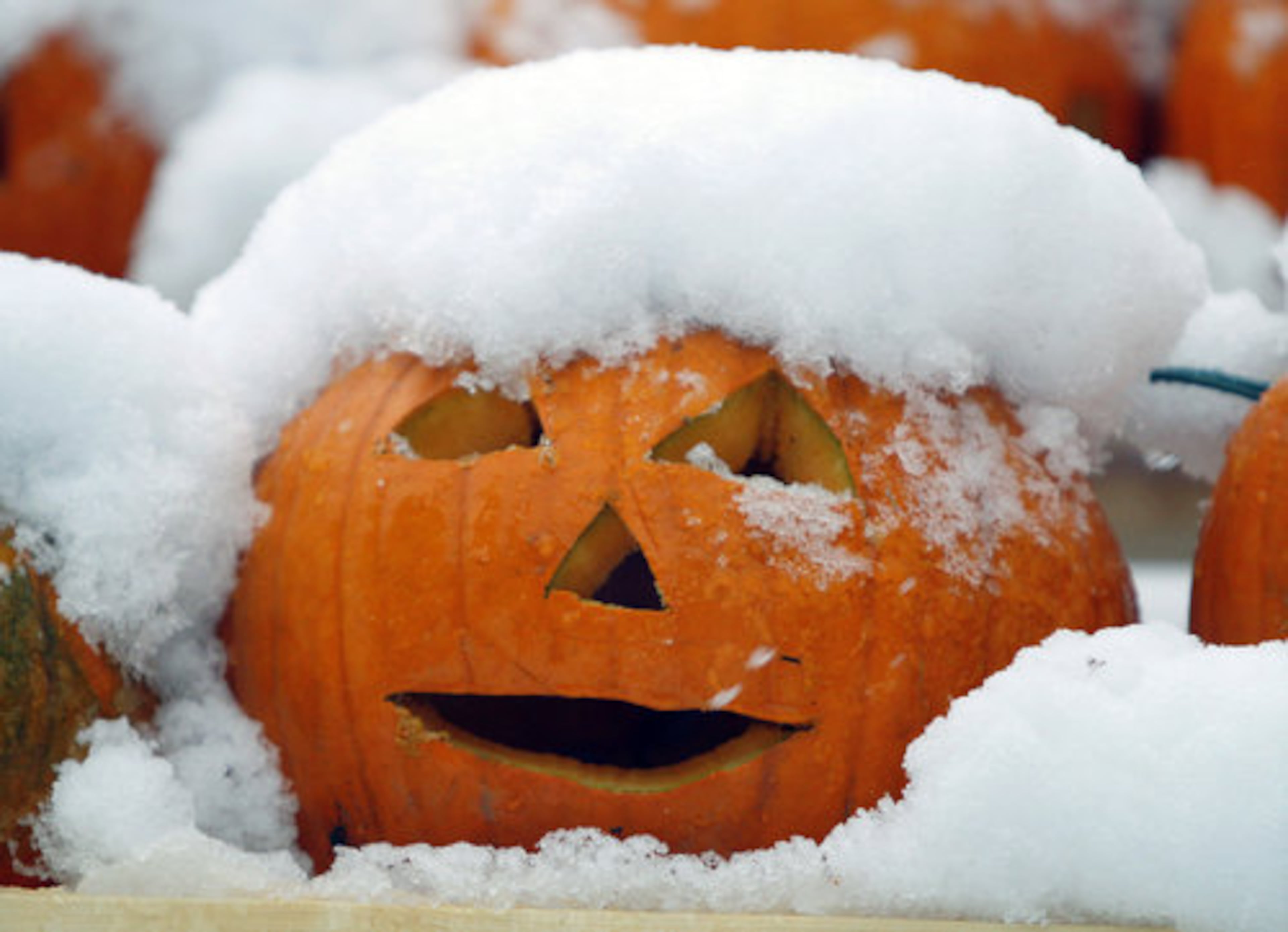 A jack-o'-lantern is covered with snow during an early winter storm, Sunday Oct. 30, 2011, in Freeport, Maine. The snow was due to stop falling in New England late Sunday, but it could be days before many of the more than 3 million without electricity see it restored, officials warned. The storm smashed record snowfall totals for October, and several officials called its ferocity historic.