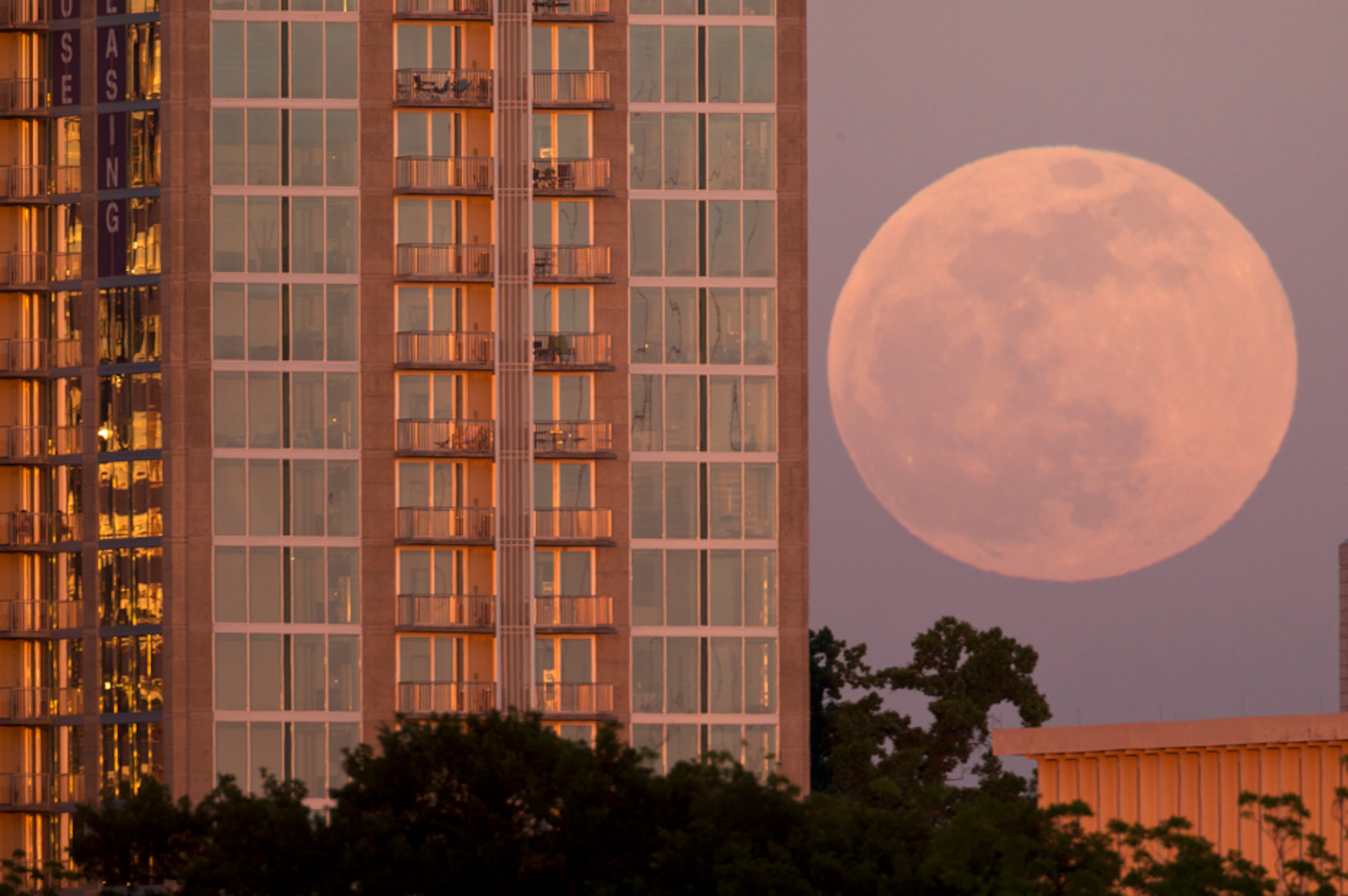 AJC Photojournalist Ben Gray--Photos of the Year, 2013