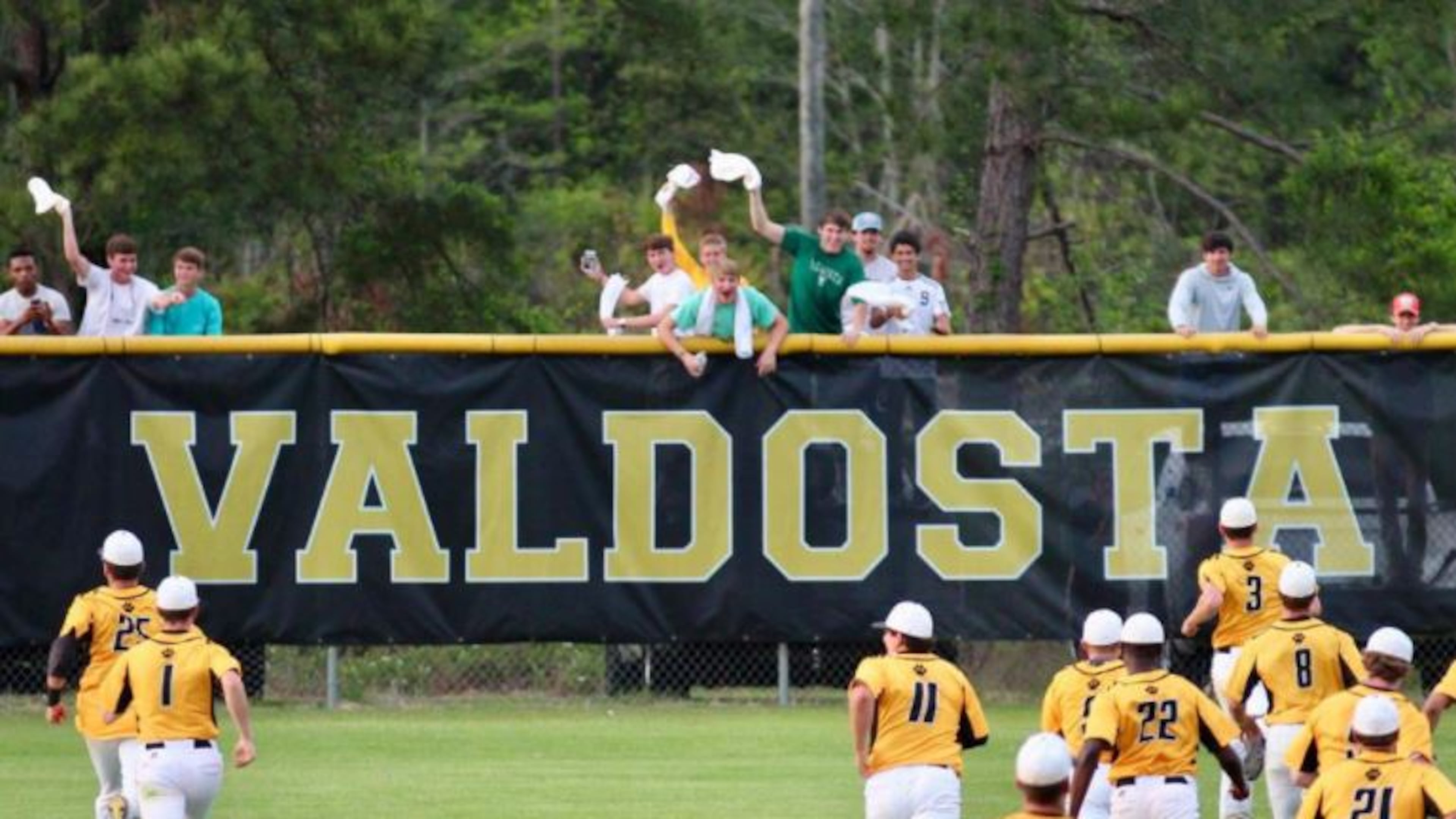 Fulton is looking into a report from a Friday night baseball game after a Valdosta High player alleged racist language and bullying behavior from an Alpharetta High coach.