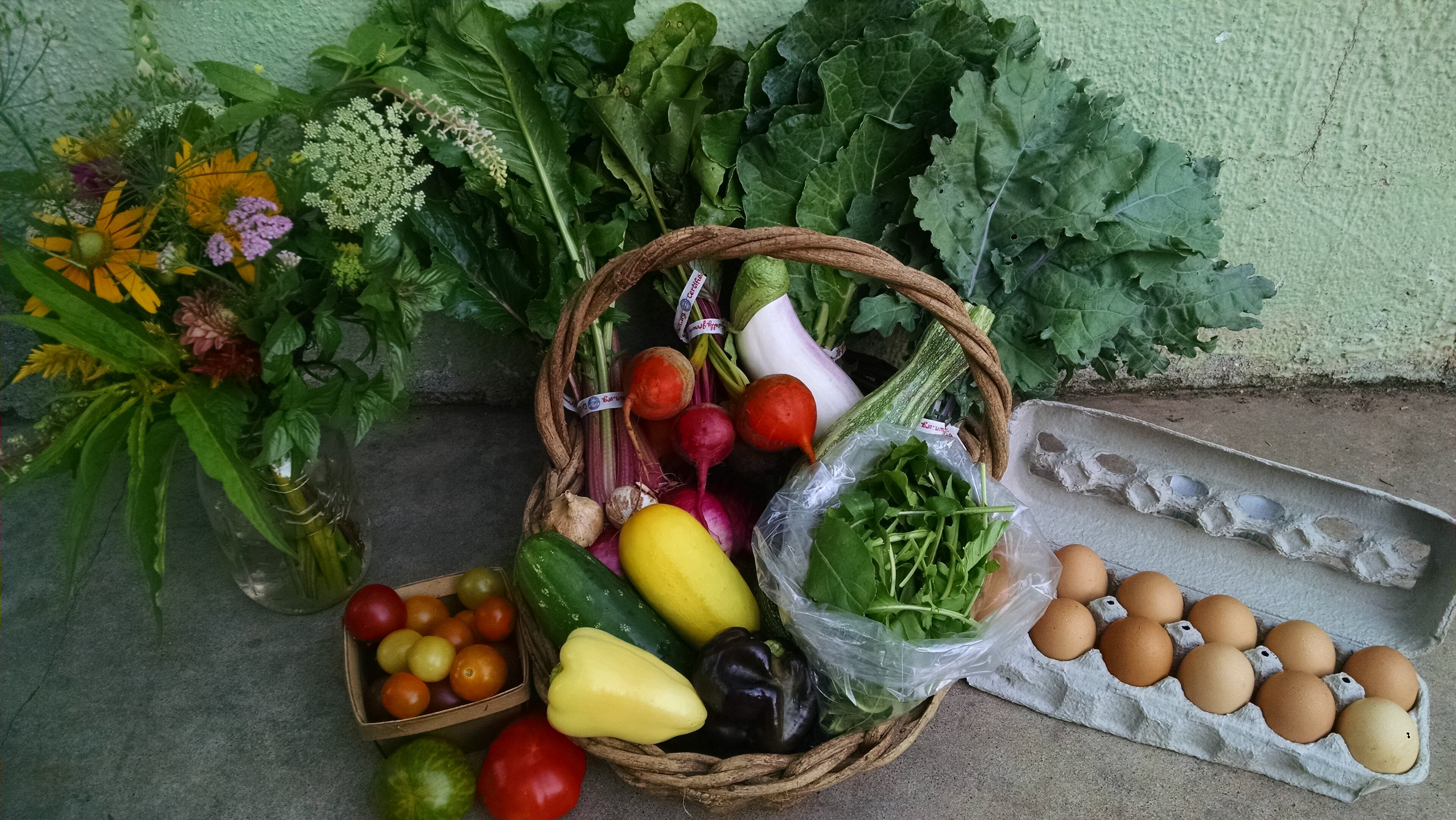 Any patch of land can become a farm, as Atlanta's many urban farmers prove.Freewheel Farm grows crops on three city lots and brings their produce to the Grant Park Farmers Market, less than a mile from two of the three farm properties. Each week, those who’ve purchased a share of Freewheel Farm’s community-supported agriculture program receive an assortment of whatever is ready for harvest. For the week pictured here, Freewheel’s customers received cherry and beefsteak-type tomatoes, peppers, heirloom cucumber varieties, arugula, kale, collards, beets and turnips along with a dozen eggs and a bouquet of flowers. / Photo credit: Freewheel Farm