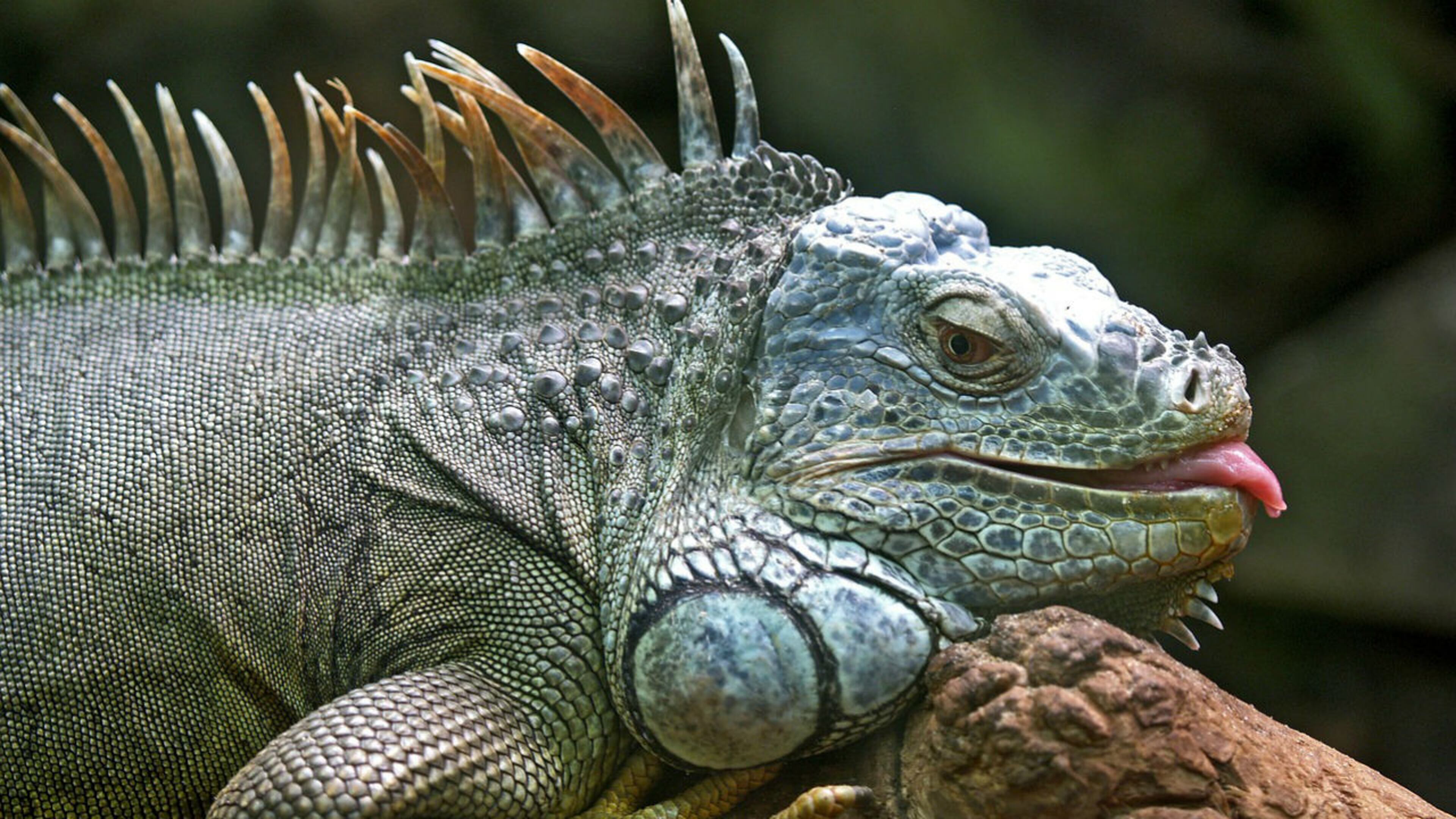 File photo. (Photo: werner22brigitte/Pixabay)