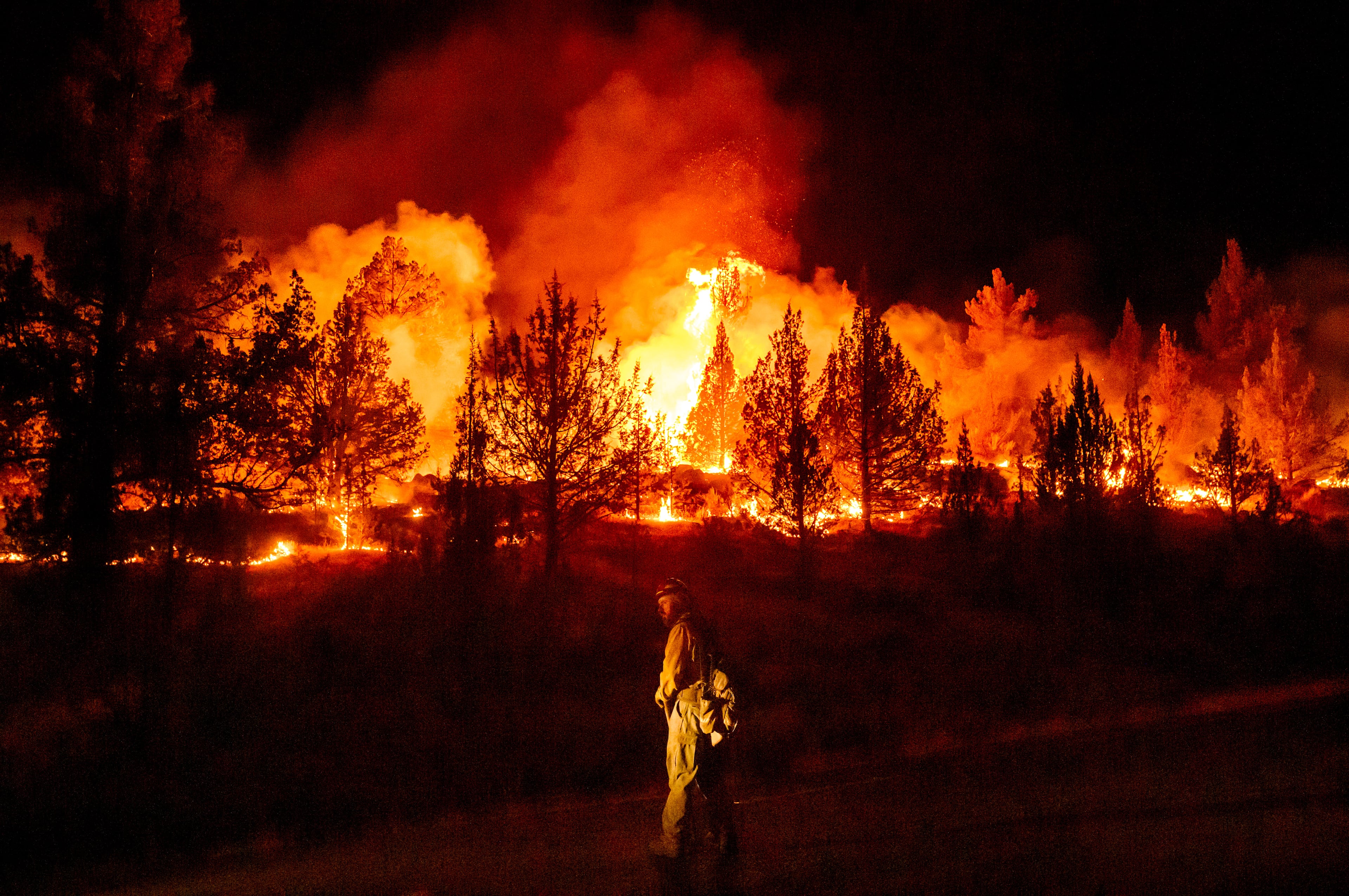 Climate Wildfires Global