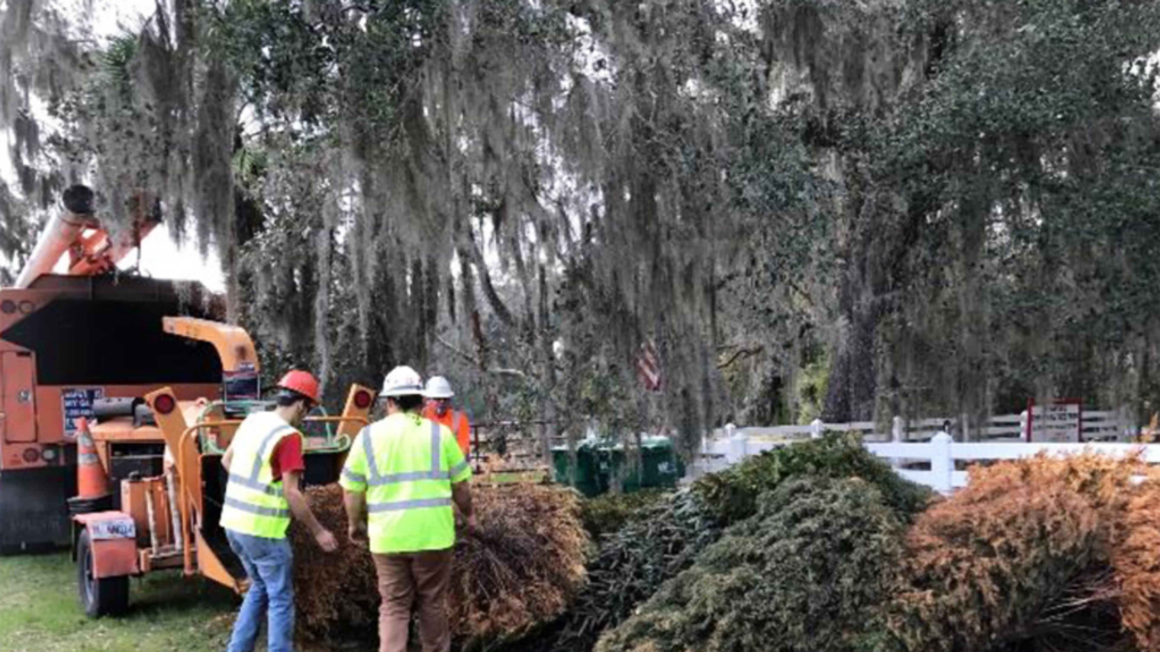 Milton residents can drop off Christmas trees for recycling at three locations, including the city’s “Bring One for the Chipper” event Jan. 5 at Milton High School. KEEP GEORGIA BEAUTIFUL