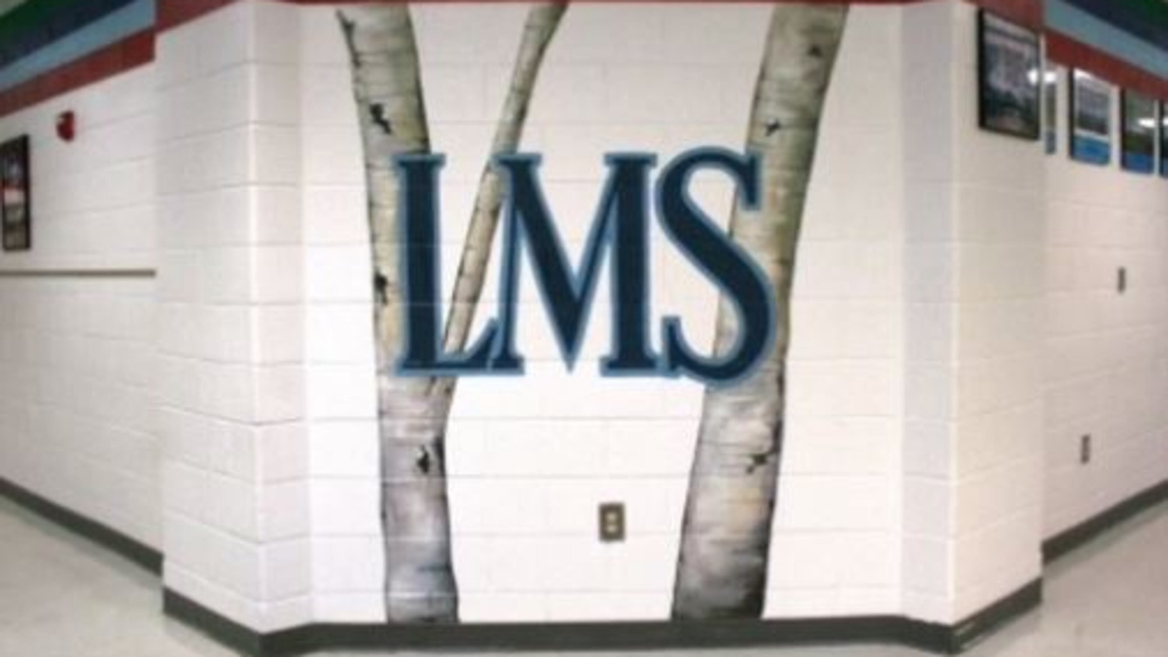A 14-year-old student at Lee Middle School is in custody.