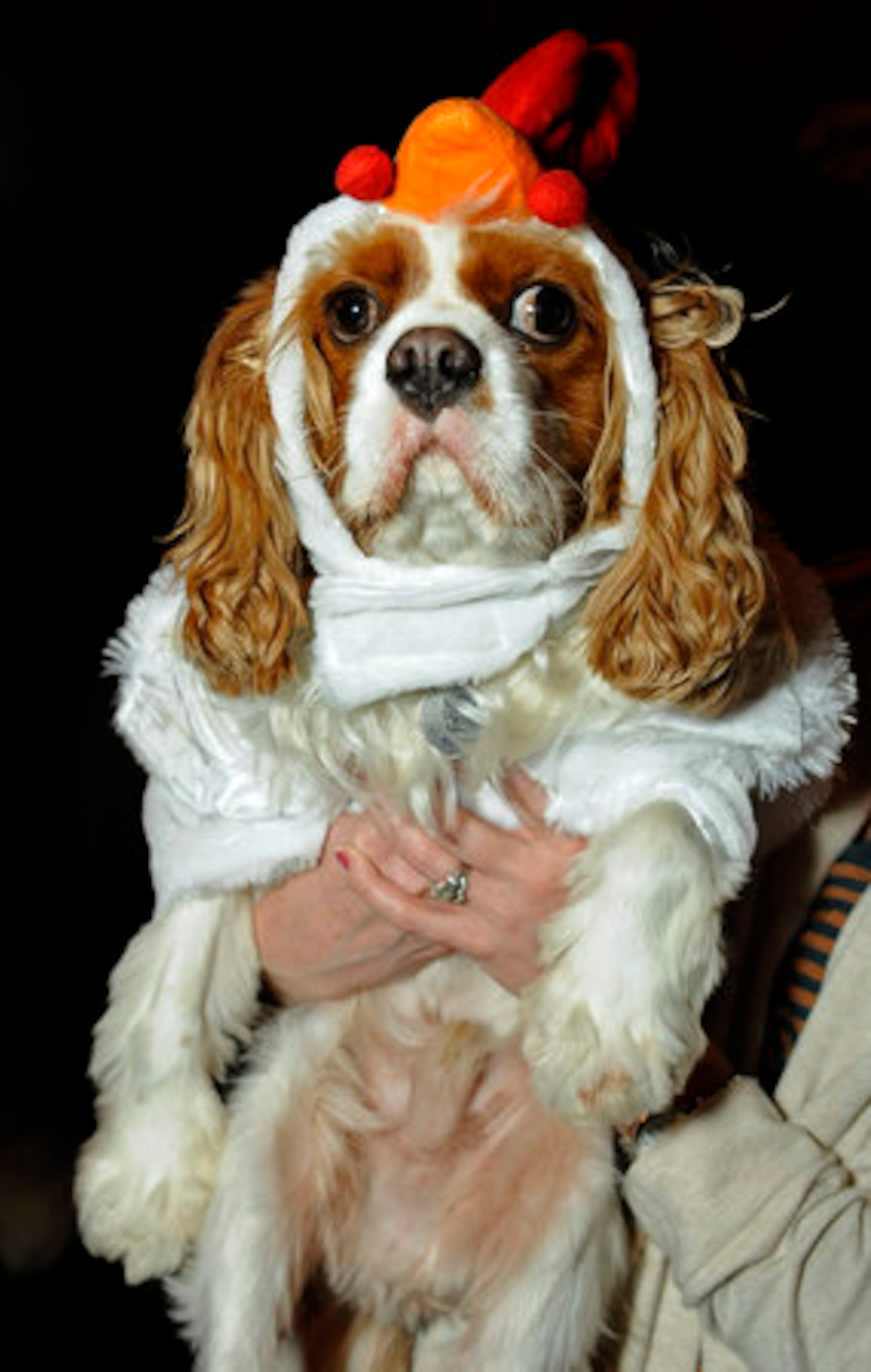 Krista Weisman of Atlanta holds up Badgley.