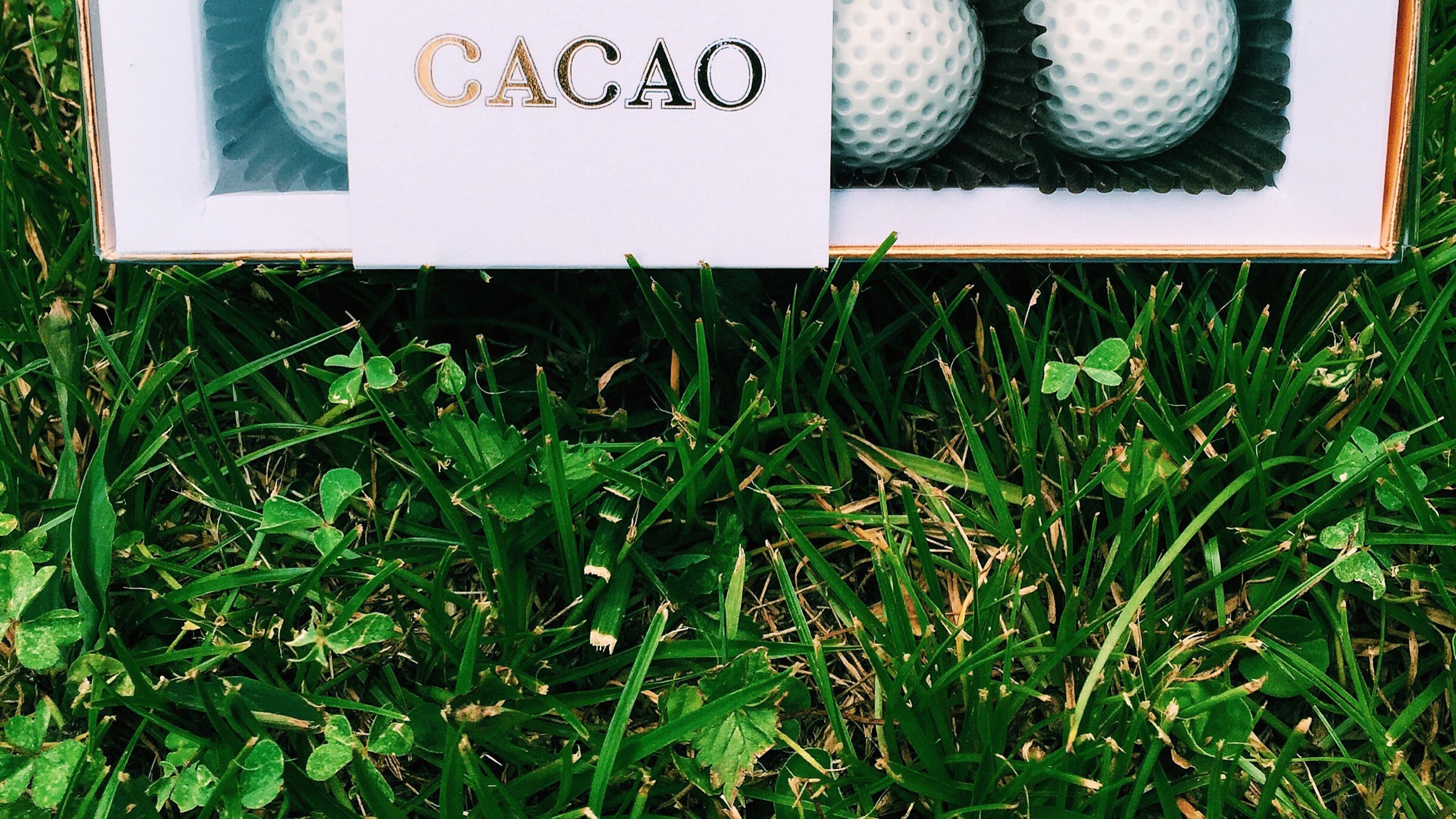 Looking for a Father's Day present? CACAO Atlanta Chocolate Co. is offering White Chocolate Scotch Pecan Praline Golf Balls made with made with 10-year aged Laphroaig Scotch.
