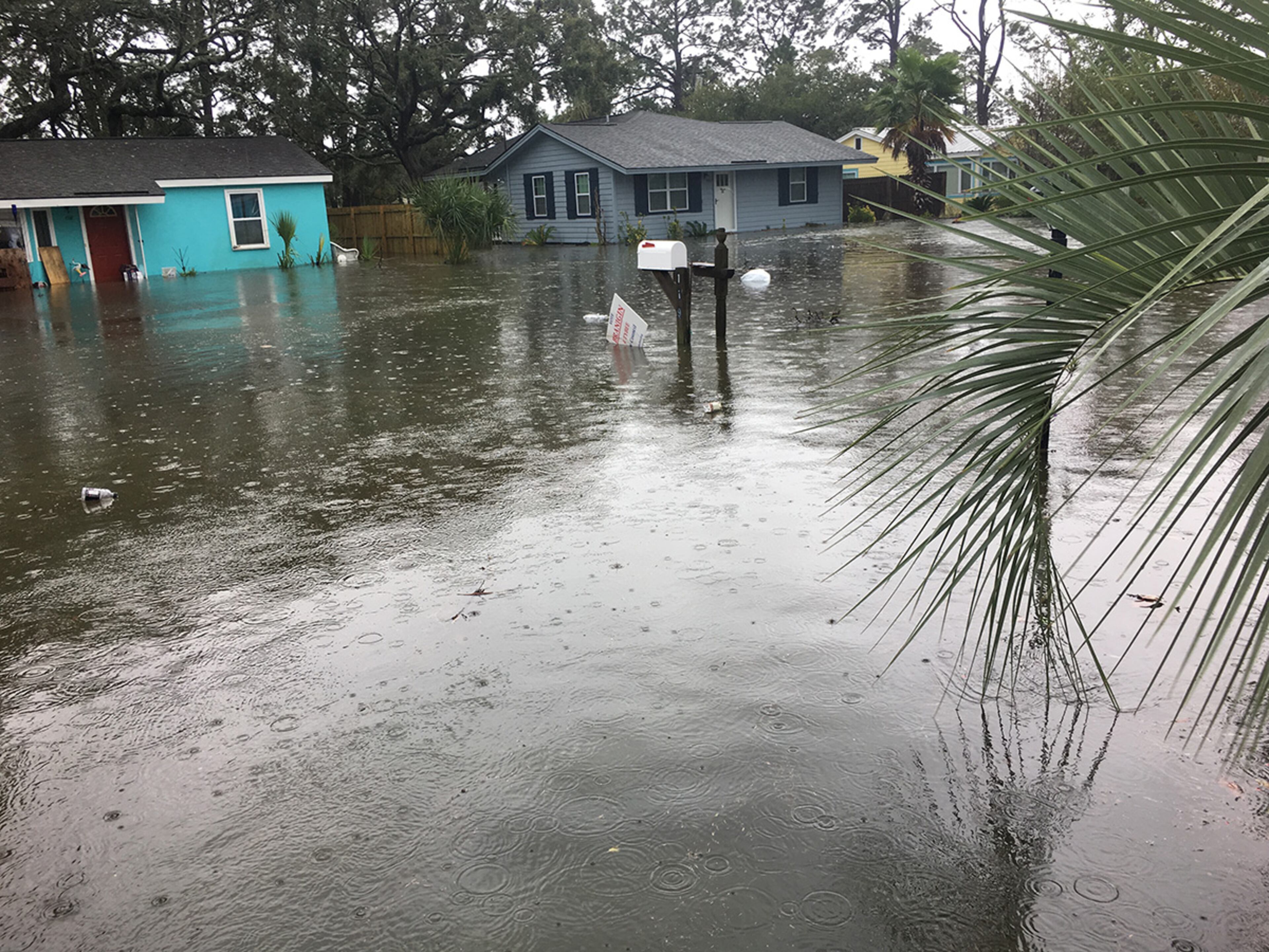 Tybee Island got swamped by Irma. Photo: courtesy of Cheryl McDaniel