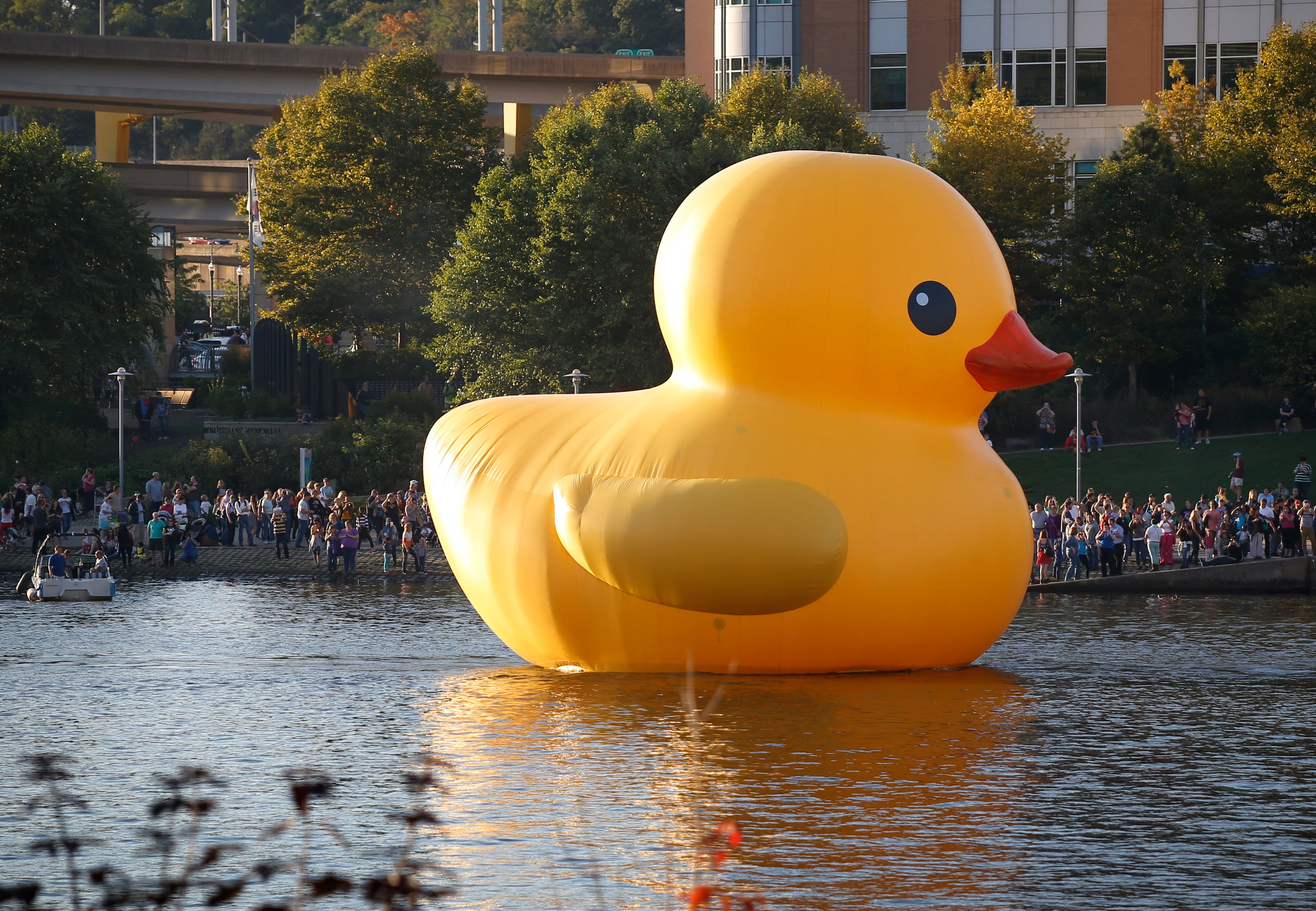 Thousands of people line the Allegheny River as a version of Dutch artist Florentijn Hofman giant "Rubber Duckie" is towed up the river for its debut in Pittsburgh on Friday, Sept. 27, 2013. Pittsburgh's duck is the first "Made-in-the-USA" version of the Dutch artists creation. The ducks arrival kicks off the month-long Pittsburgh International Festival of Firsts, which features theater, dance, music and visual arts from around the world. After the opening night the duck will be moored downtown until Oct. 20, 2013. (AP Photo/Keith Srakocic)