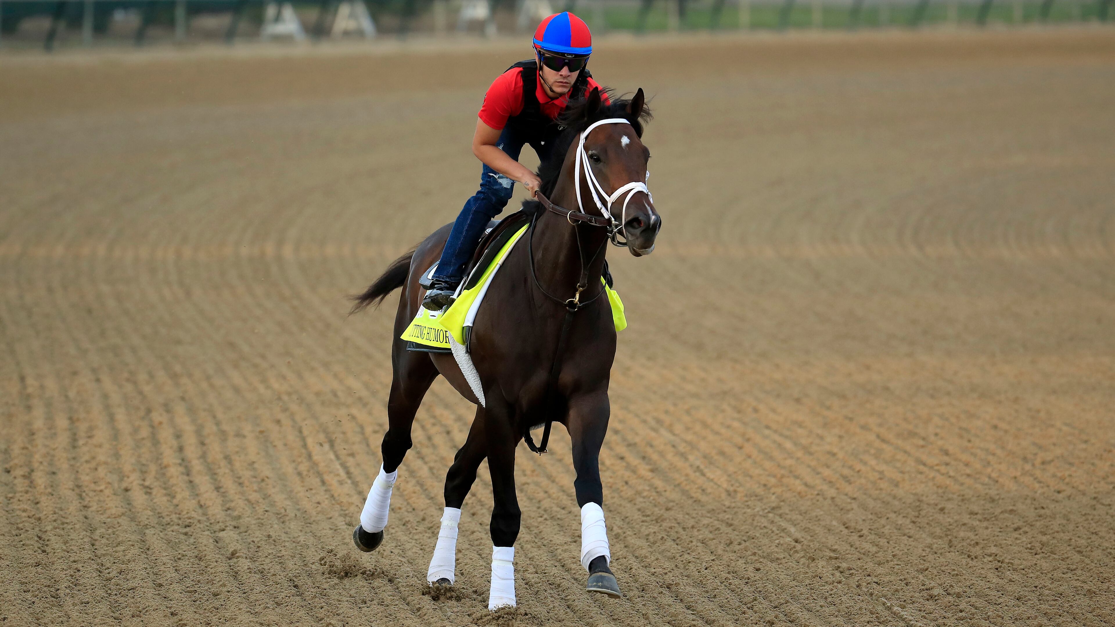 Cutting Humor runs on the track during morning training for the Kentucky Derby May 1, 2019, at Churchill Downs in Louisville, Ky.