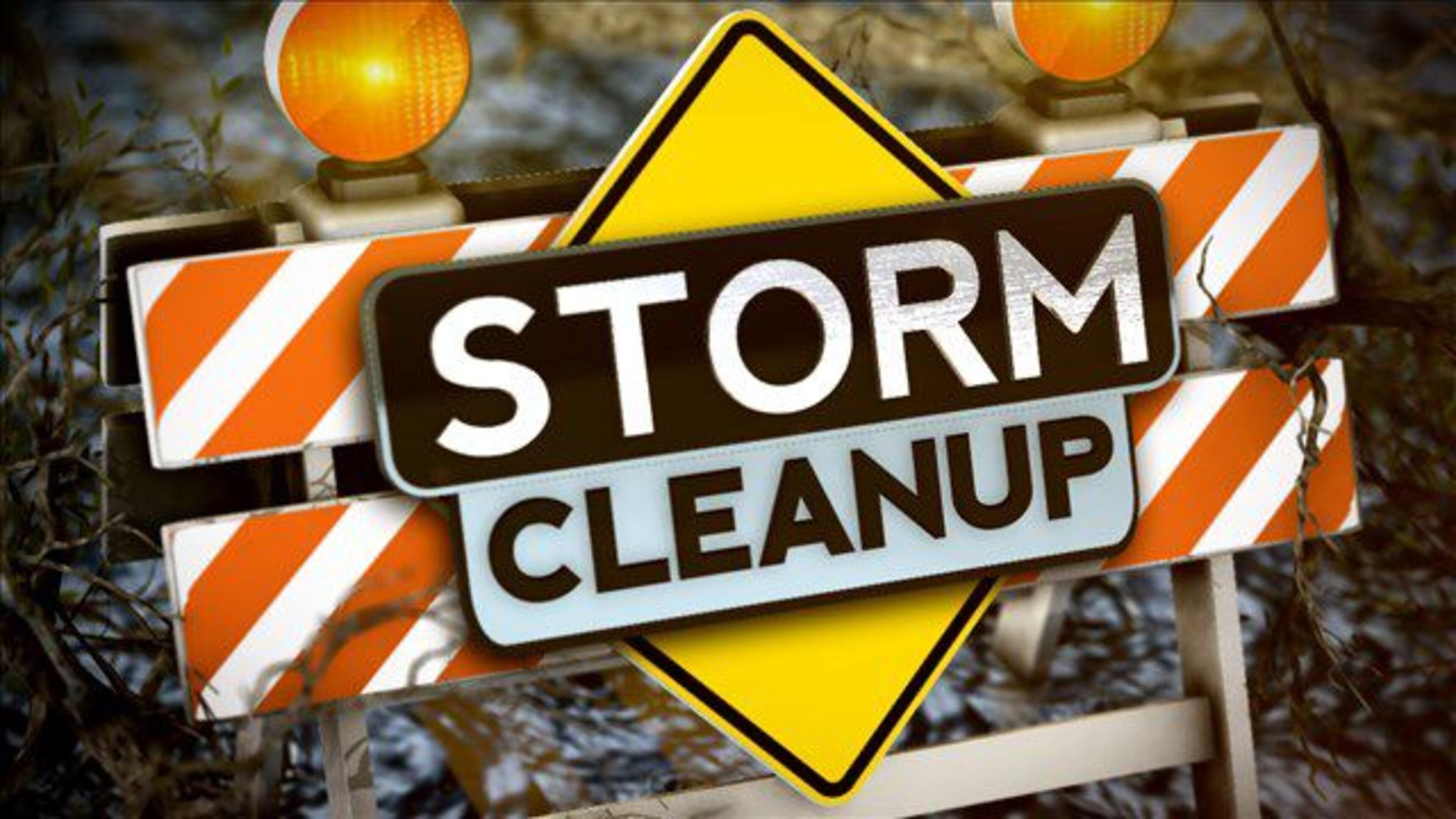 Clayton County will pick Hurricane Irma storm debris through Oct. 16.
