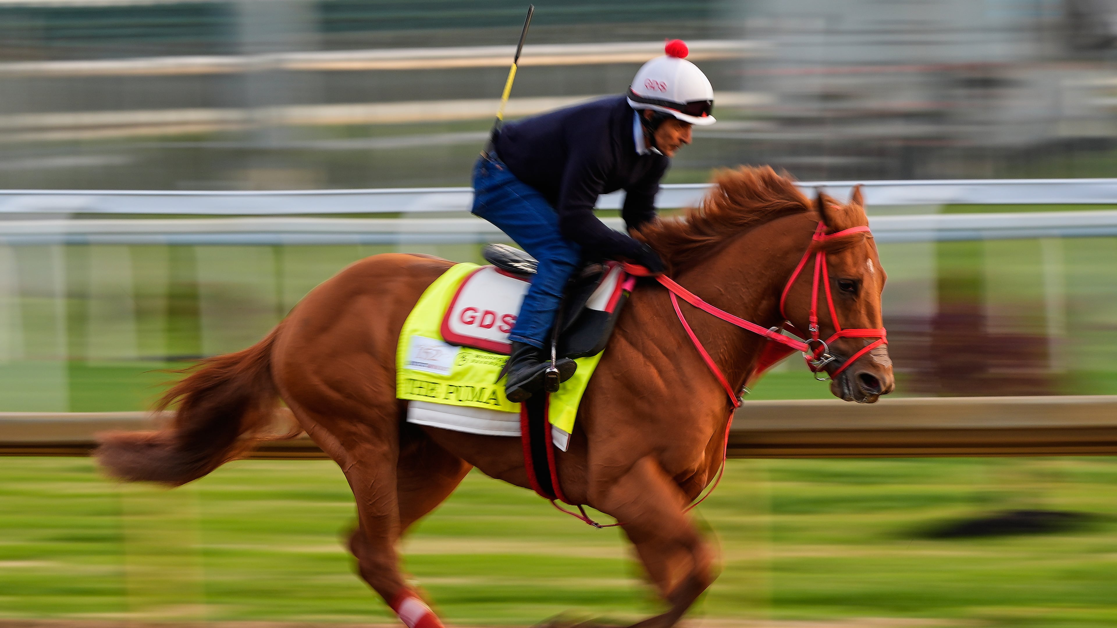 Kentucky Derby entrant The Puma works out at Churchill Downs Friday, May 1, 2026, in Louisville, Ky. (AP Photo/Charlie Riedel)