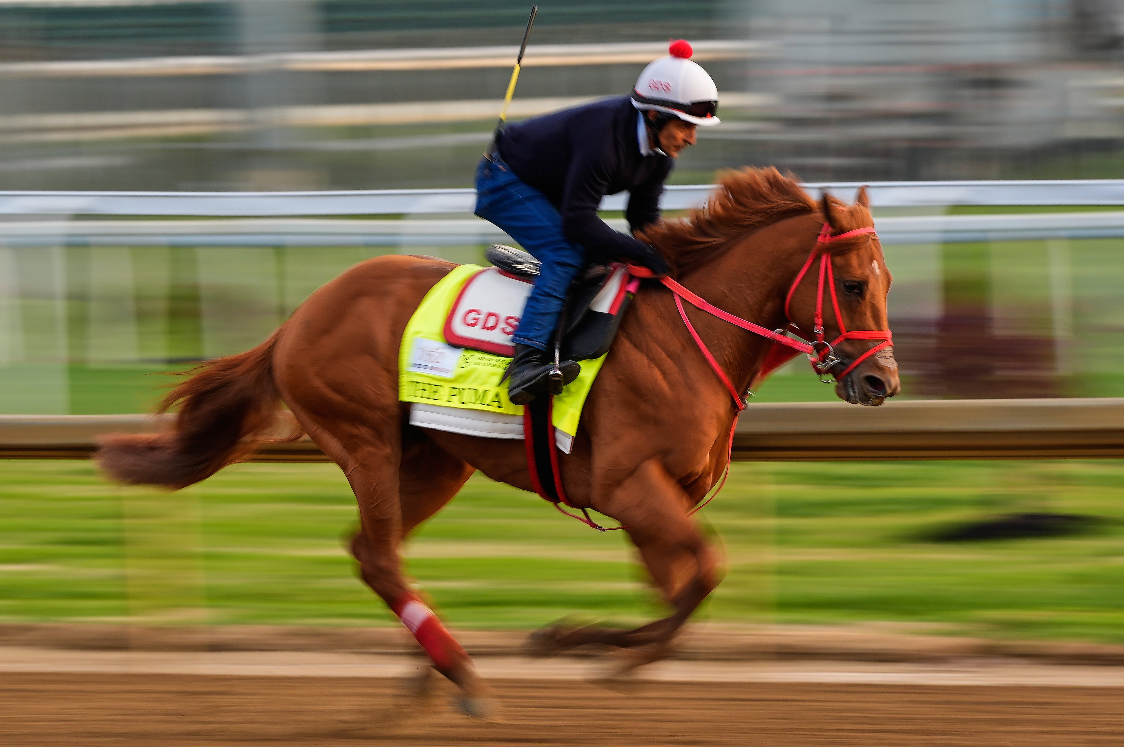 Kentucky Derby Horse Racing
