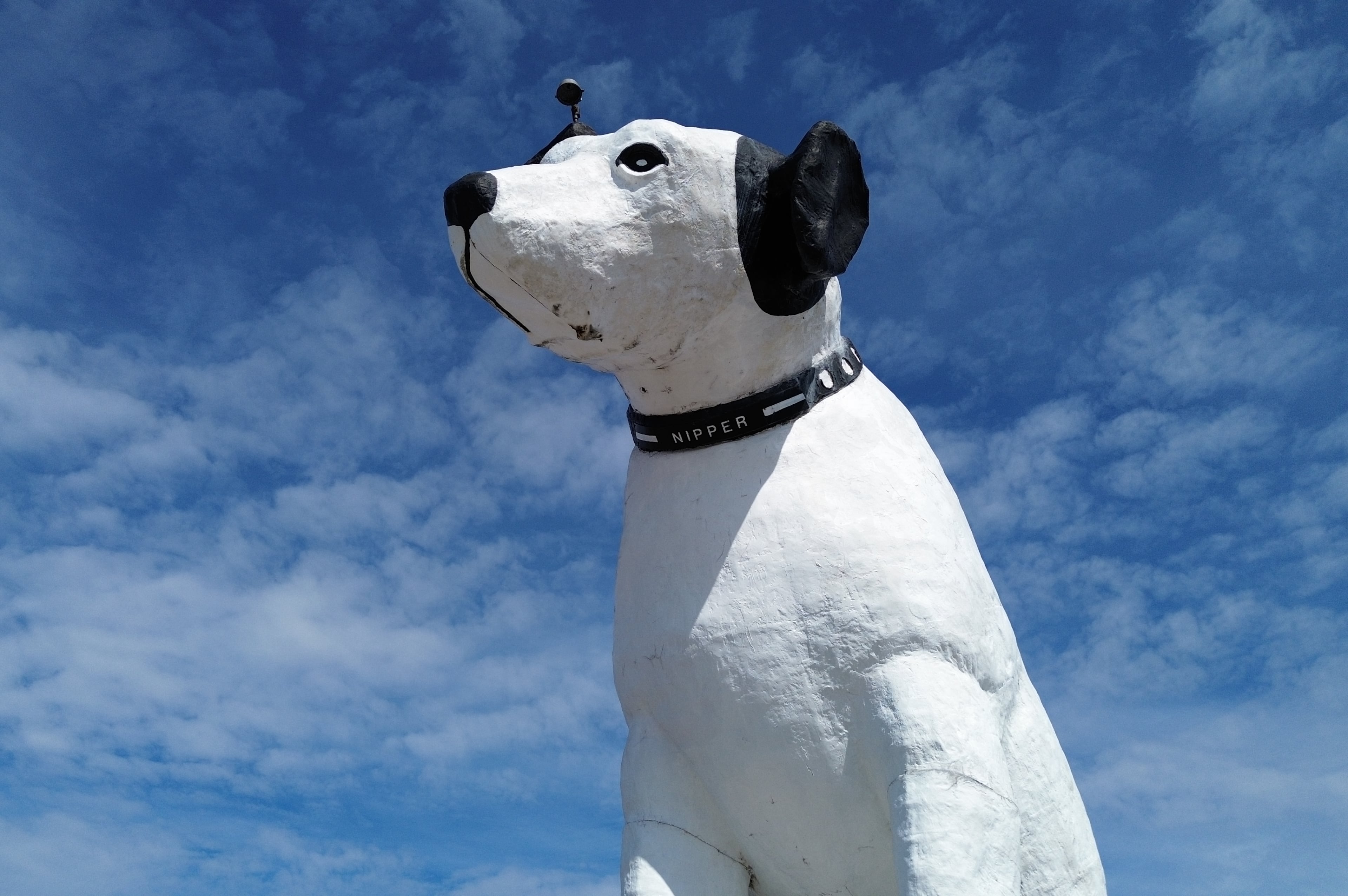 Giant Dog Statue