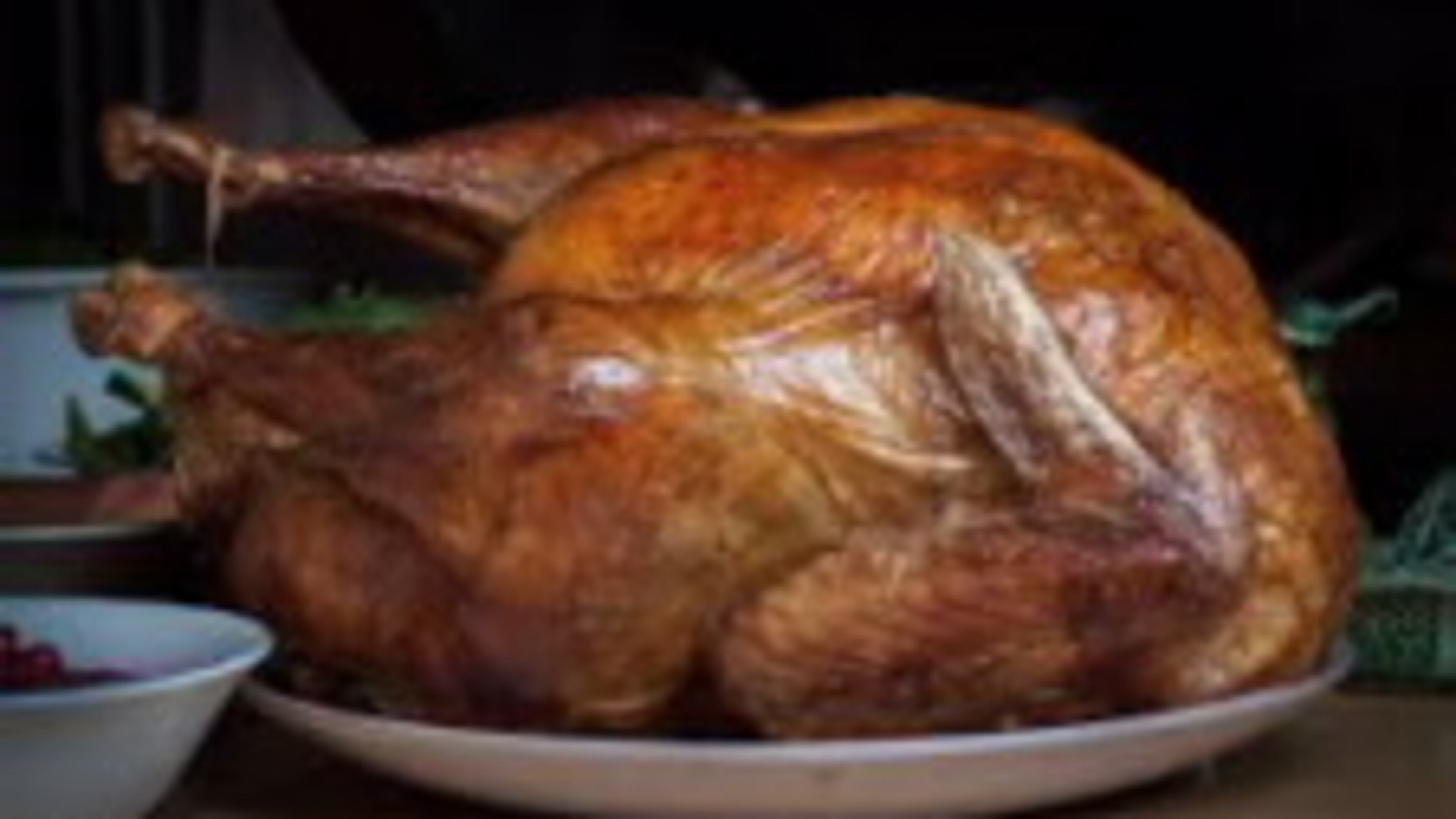 “Don’t be a turkey: don’t pour grease down the sink,” urges DeKalb County officials in a public announcement campaign. CONTRIBUTED
