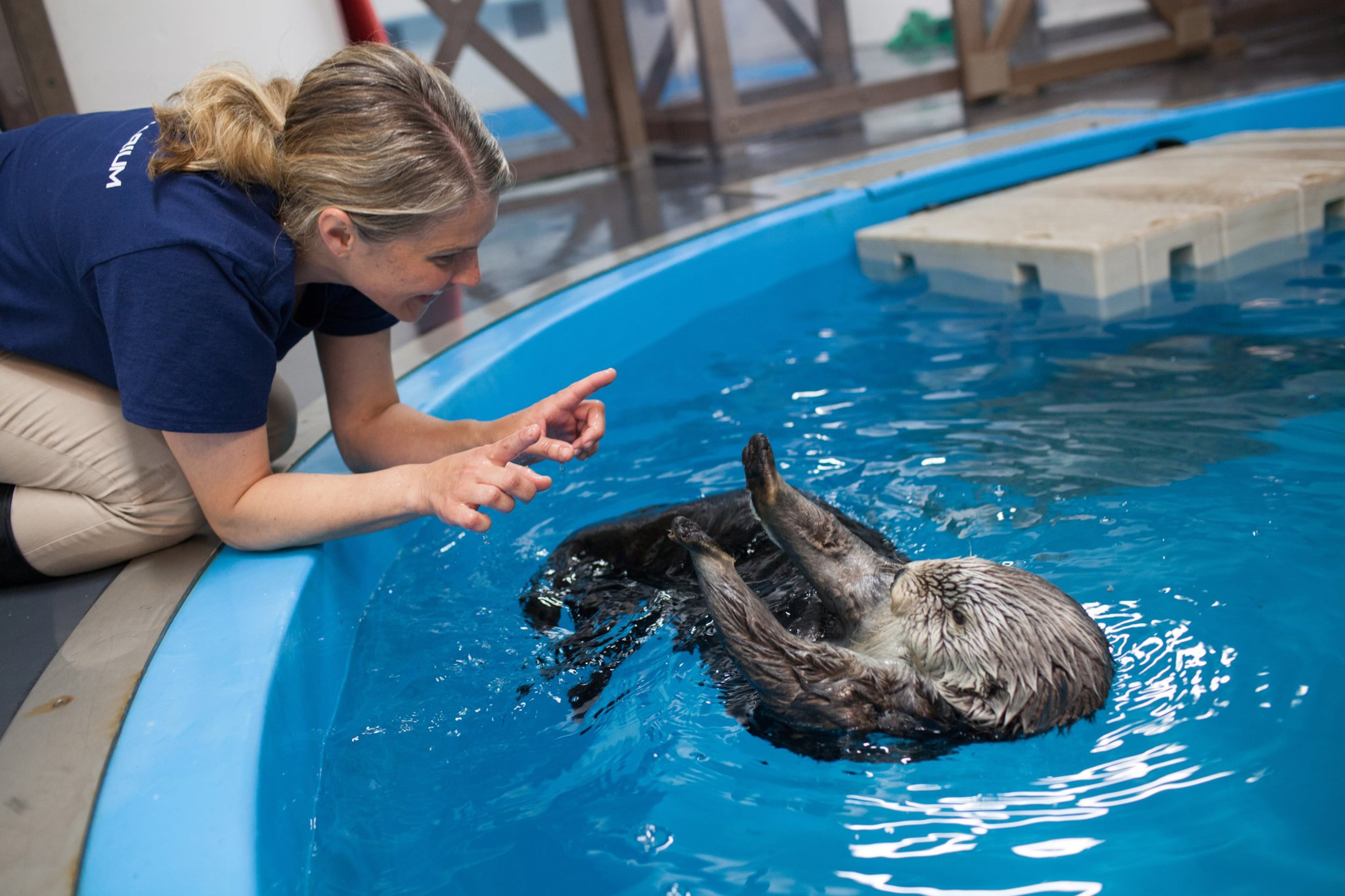 Gracie the sea otter receives individualized care from Gina Fisher, associate curator of mammals and birds at the Georgia Aquarium. CONTRIBUTED BY GEORGIA AQUARIUM