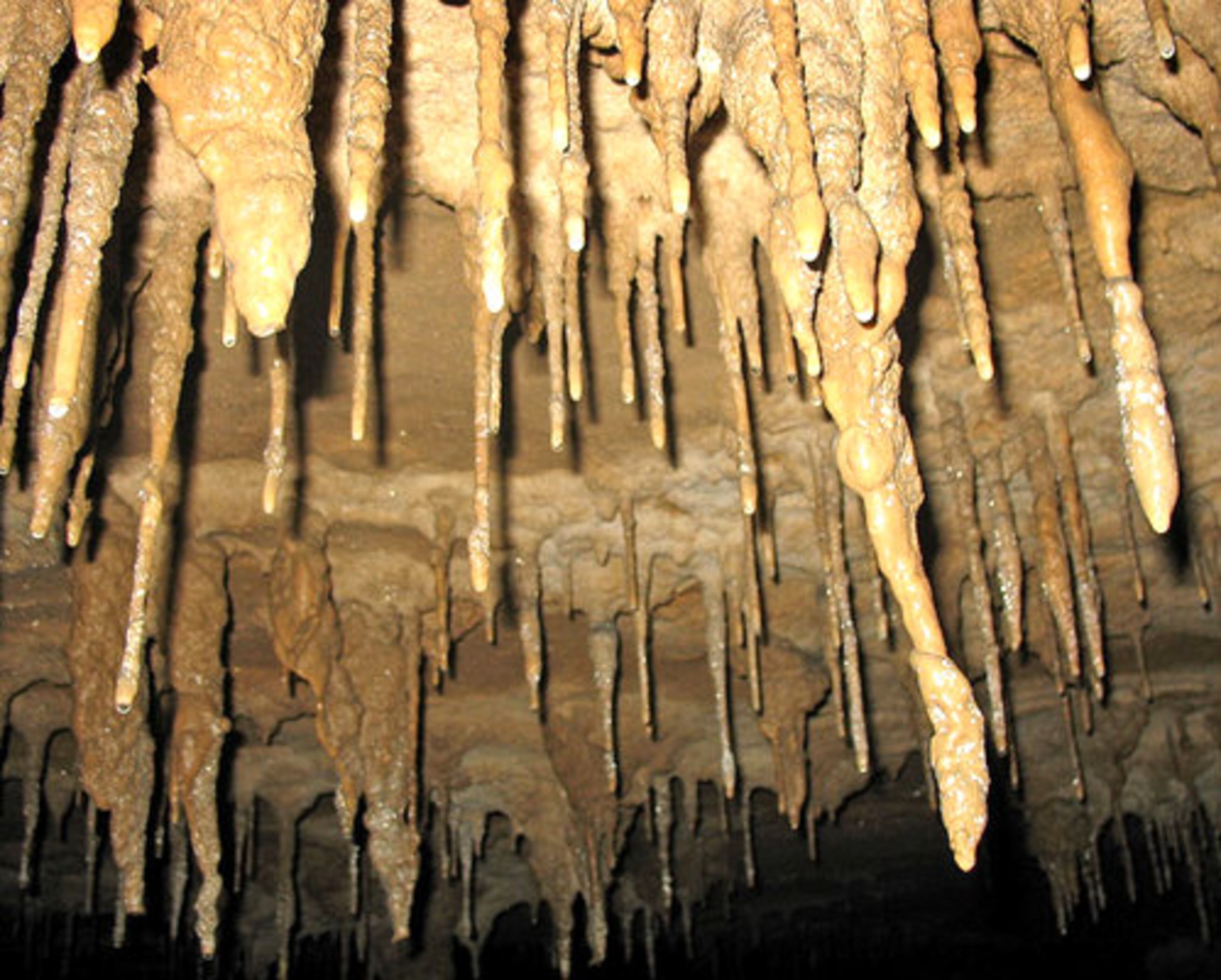 More stalactites in Fricks Cave.