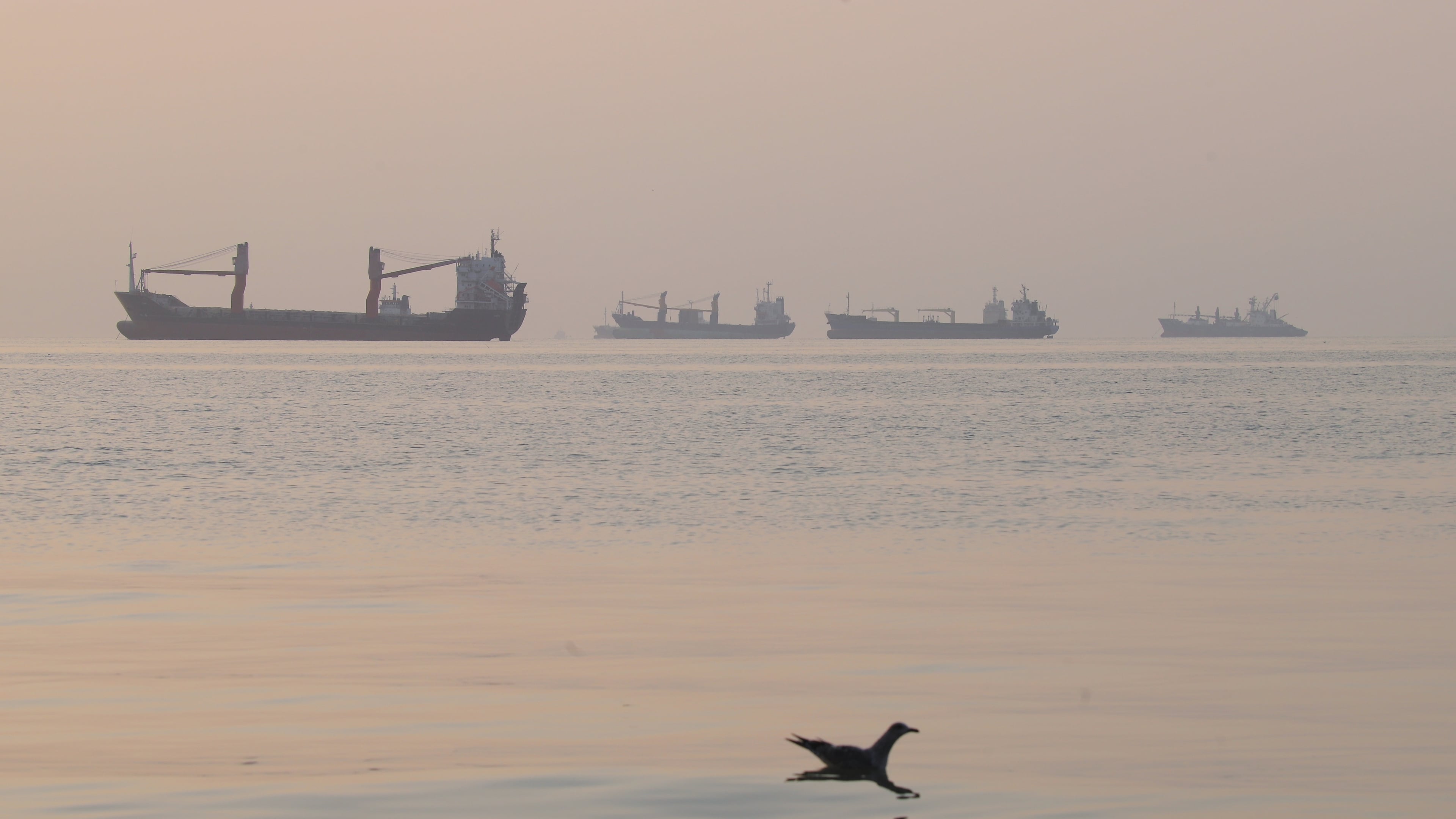 A bird flies low over the water as cargo ships lie at anchor in the Strait of Hormuz off Bandar Abbas, Iran, early Saturday, Oct. 24, 2026. (Amirhosein Khorgooi/ISNA via AP)
