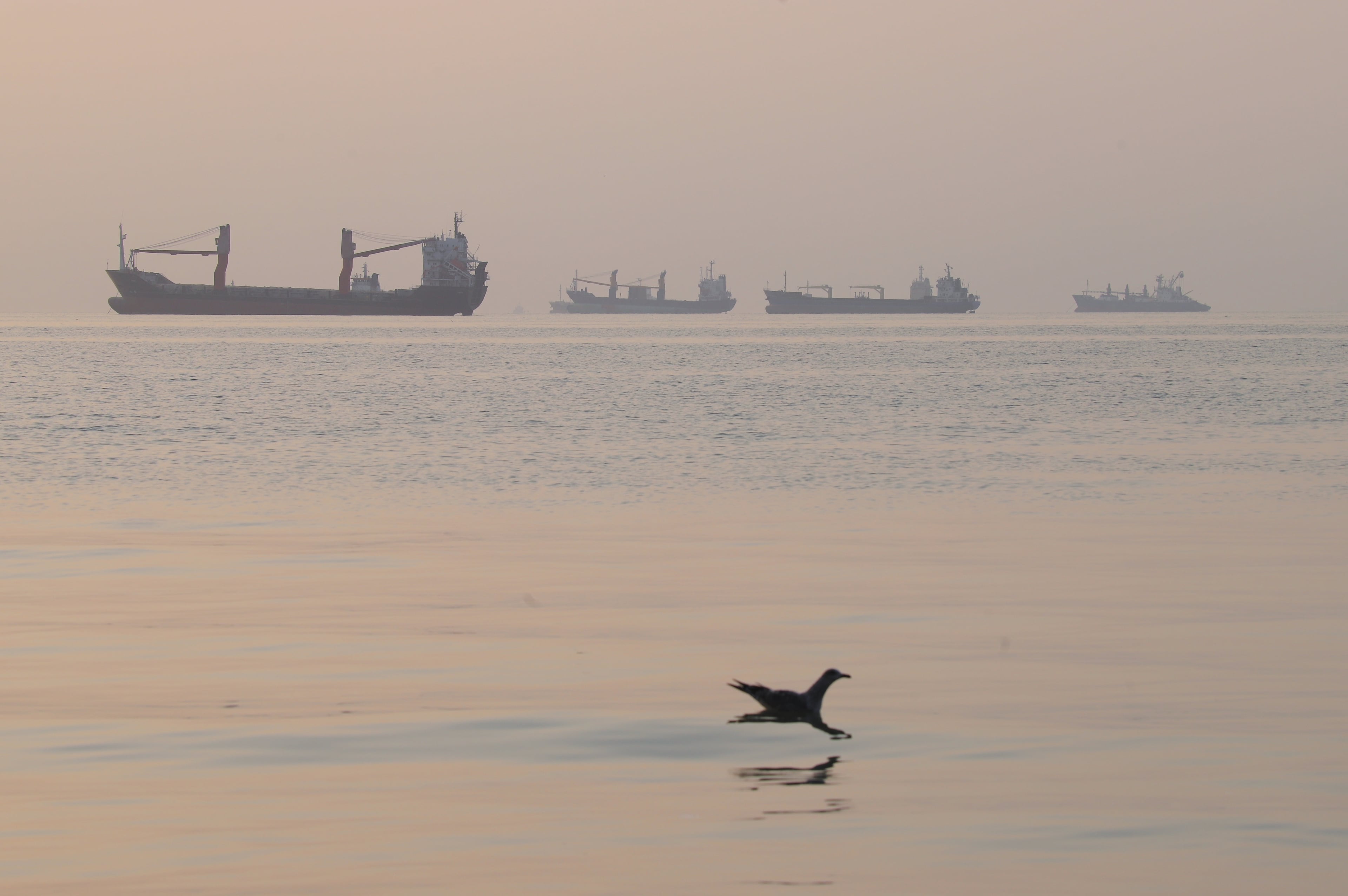 Iran Strait of Hormuz