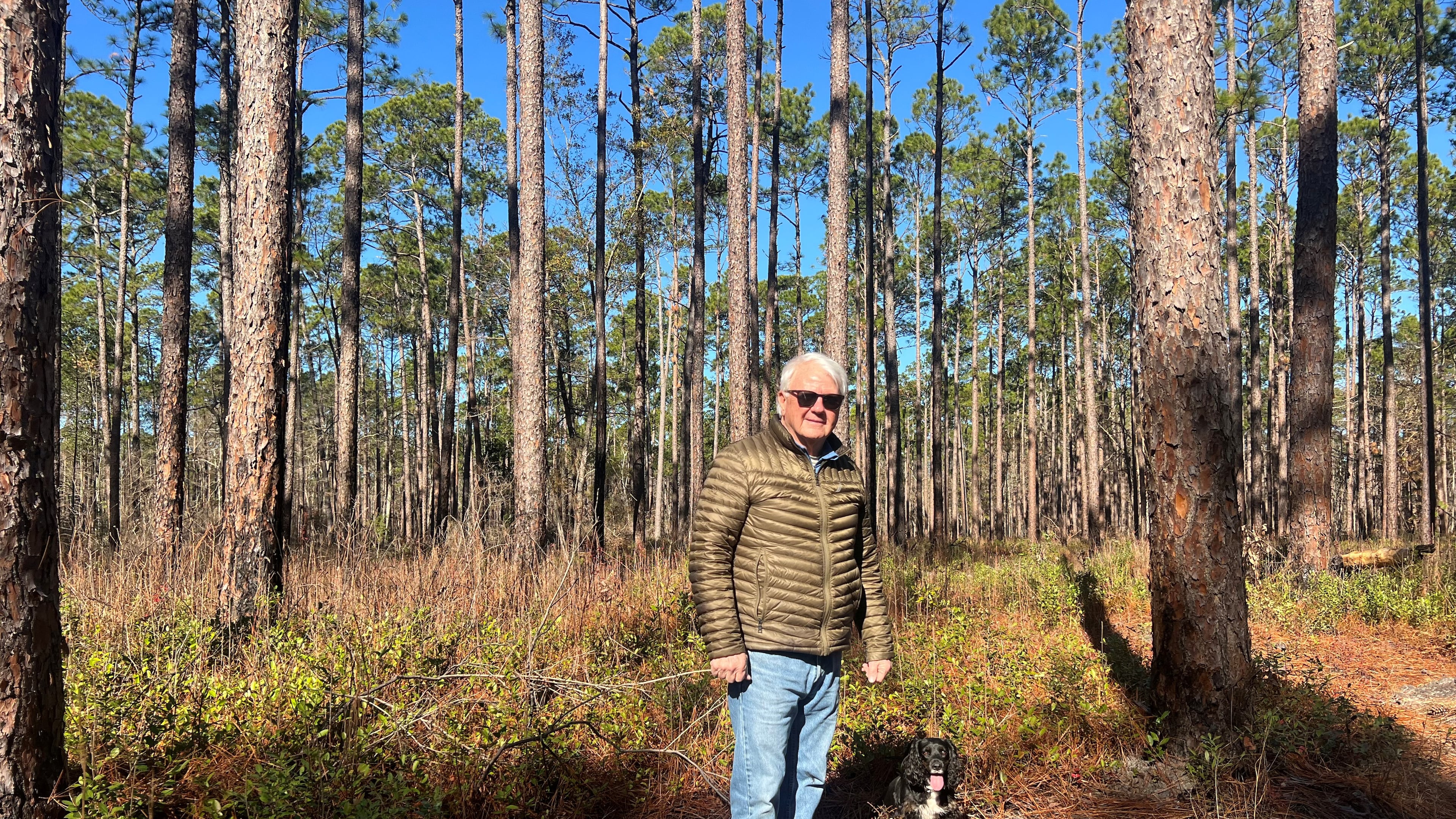 Georgia House Speaker Jon Burns is a third-generation timber farmer. Photographed here on his farm in Newington with his English Springer, Belle. December 19, 2025. (Patricia Murphy/AJC)