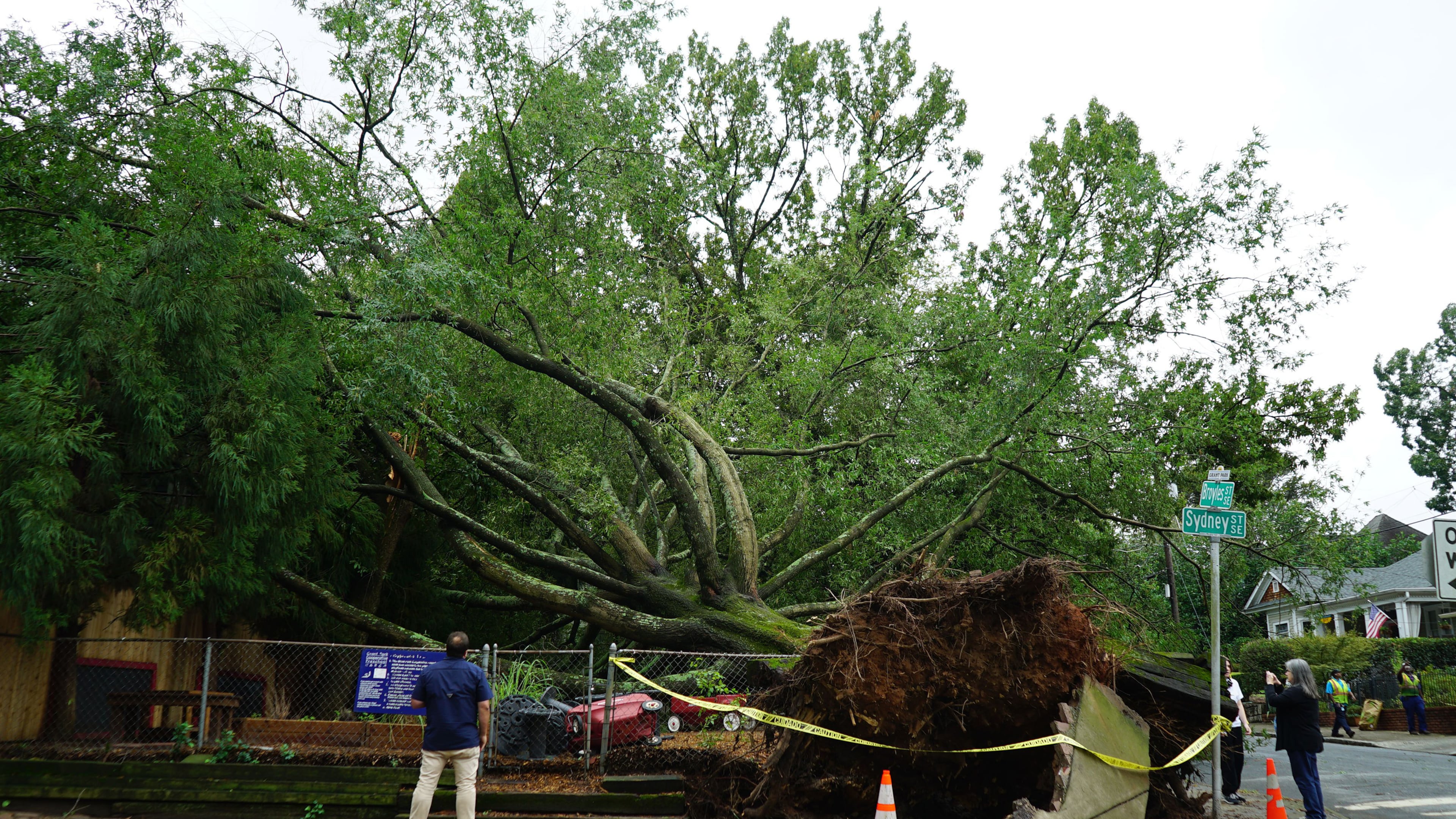 A large tree that fell in storms on Thursday, Sept. 14, 2023 on a playground used by the Grant Park Cooperative Preschool in Atlanta's Grant Park neighborhood is shown on Friday, Sept. 15, 2023. (Drew Kann/The Atlanta Journal-Constitution/TNS)
