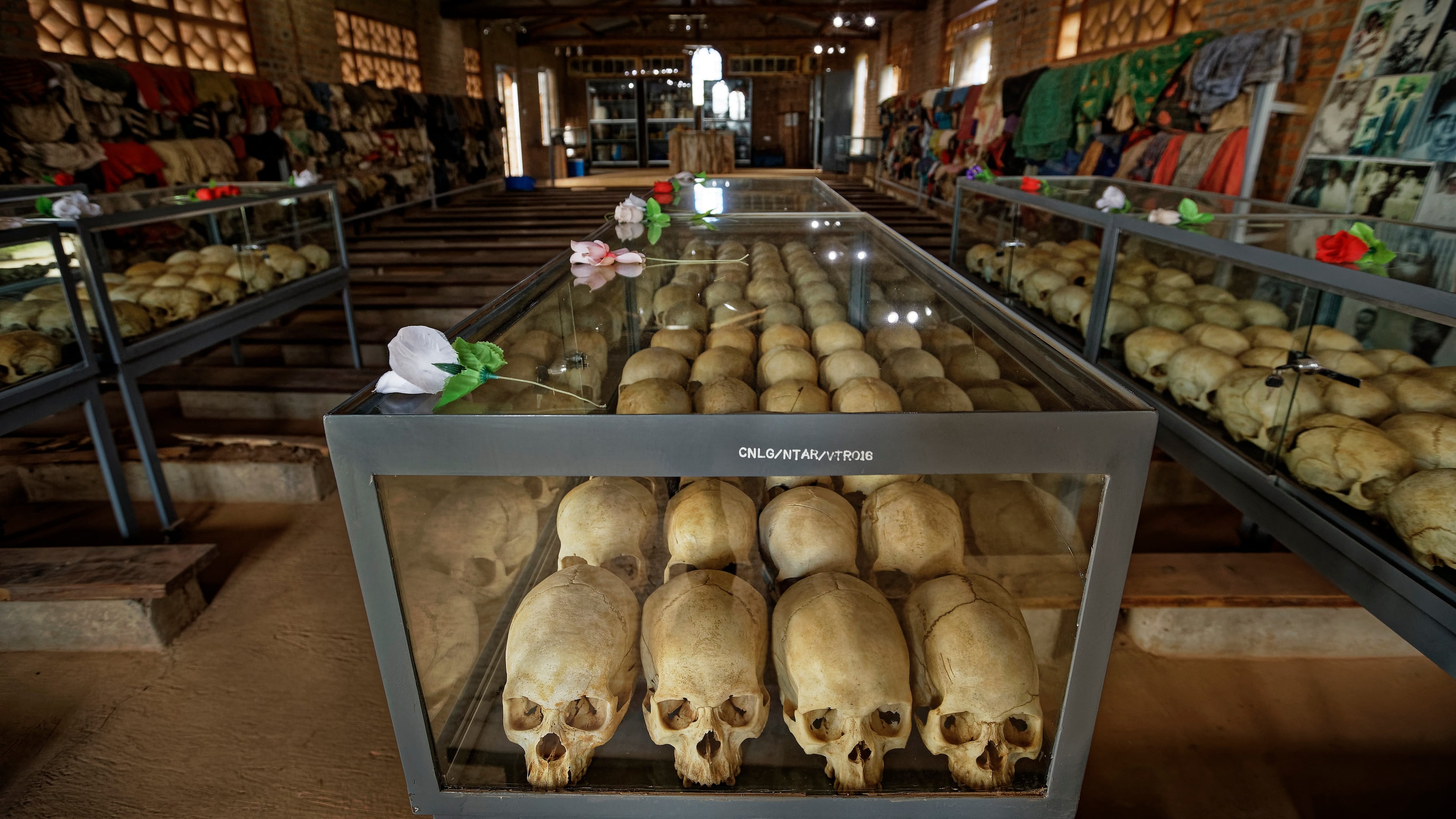 FILE - Skulls of some of those who were slaughtered as they sought refuge in a church sit in glass cases, kept as a memorial to the thousands who were killed in and around the Catholic church during the 1994 genocide, in Ntarama, Rwanda, April 5, 2019. (AP Photo/Ben Curtis, File)