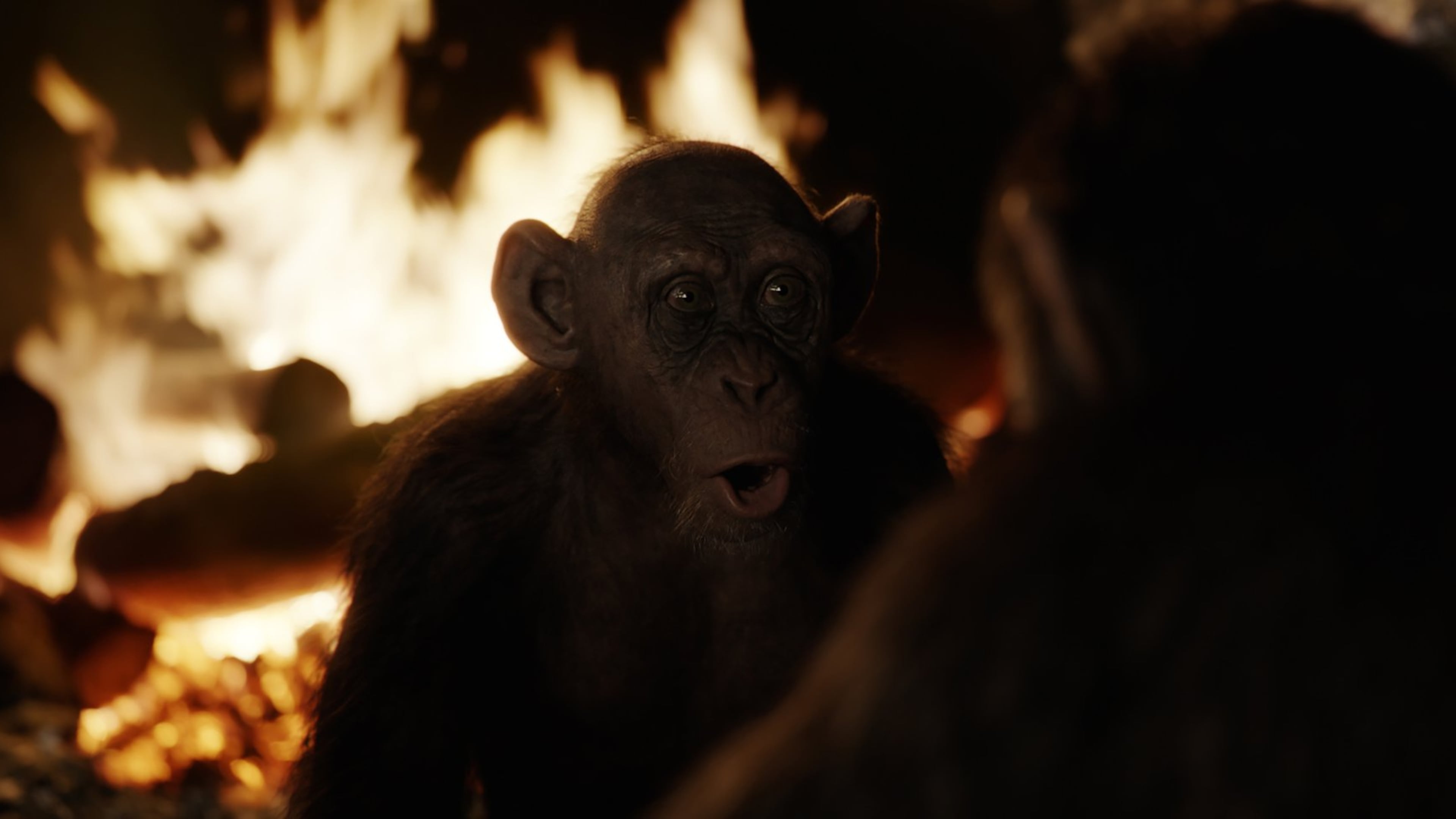 Steve Zahn portrays Bad Ape in “War for the Planet of the Apes.”