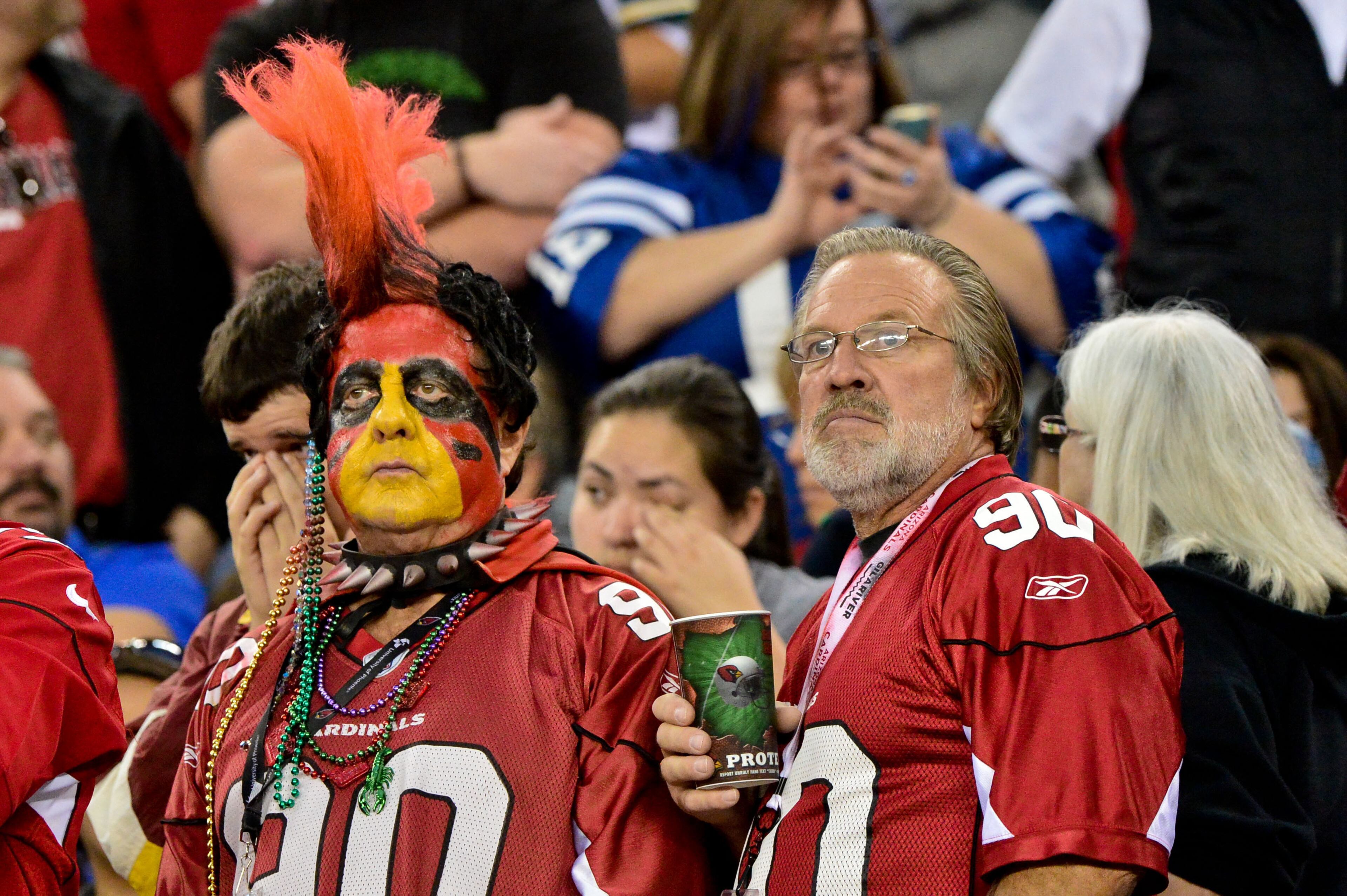 Nov 24, 2013; Phoenix, AZ, USA; Arizona Cardinals fans look on during the second half against the Indianapolis Colts at University of Phoenix Stadium. Mandatory Credit: Matt Kartozian-USA TODAY Sports