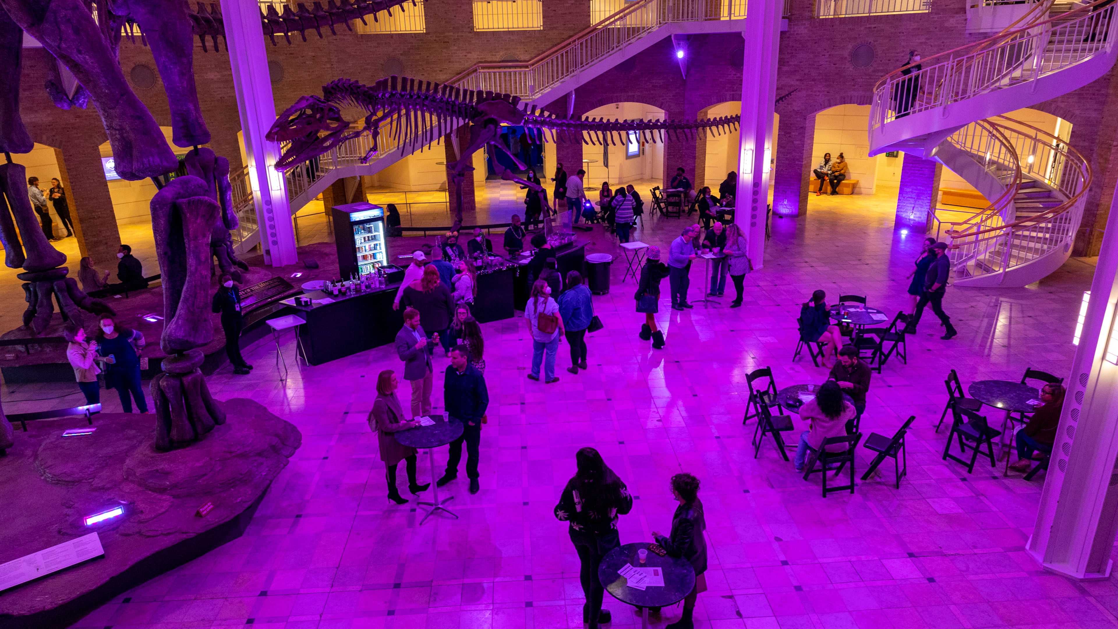 Fernbank After Dark offers a unique after-hours experience on the second Friday of each month for those 21+. You can explore museum exhibits, enjoy live music, sip on cocktails, indulge in tapas menus, witness science demonstrations, and much more. (Jenni Girtman for The Atlanta Journal-Constitution)