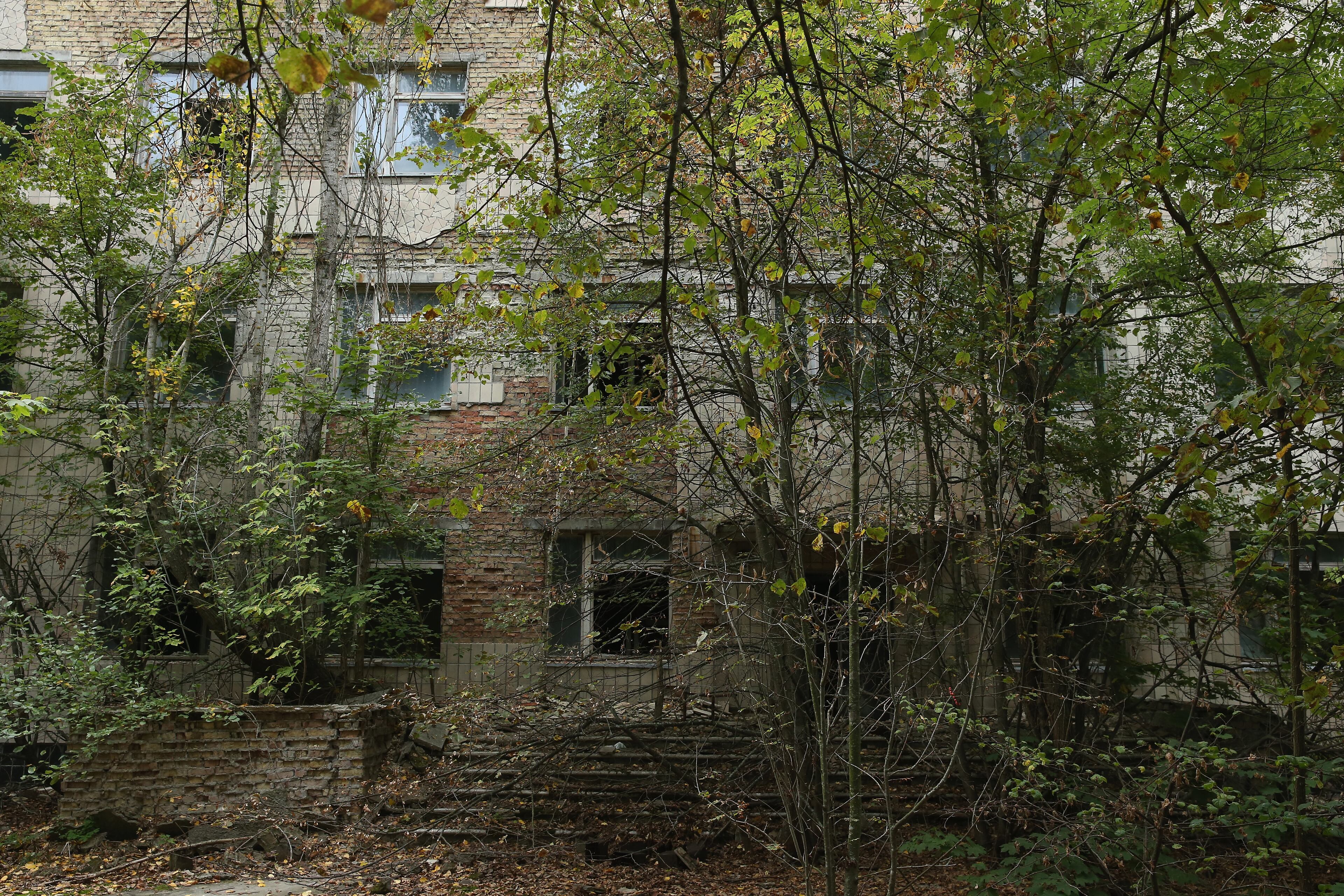PRIPYAT, UKRAINE - SEPTEMBER 30: The entrance to the former city hospital stands nearly obscured by overgrown trees on September 30, 2015 in Pripyat, Ukraine. Pripyat lies only a few kilometers from the former Chernobyl nuclear power plant and was built in the 1970s to house the plant's workers and their families. On April 26, 1986, technicians at Chernobyl conducting a test inadvertently caused reactor number four to explode, sending plumes of highly radioactive particles and debris into the atmosphere. Authorities evacuated 120,000 people from the area, including 43,000 from Pripyat. Today Pripyat is a ghost-town, its apartment buildings, shops, restaurants, hospital, schools, cultural center and sports facilities derelict and its streets overgrown with trees. The city lies in the inner exclusion zone around Chernobyl where hot spots of persistently high levels of radiation make the area uninhabitable for thousands of years to come. (Photo by Sean Gallup/Getty Images)