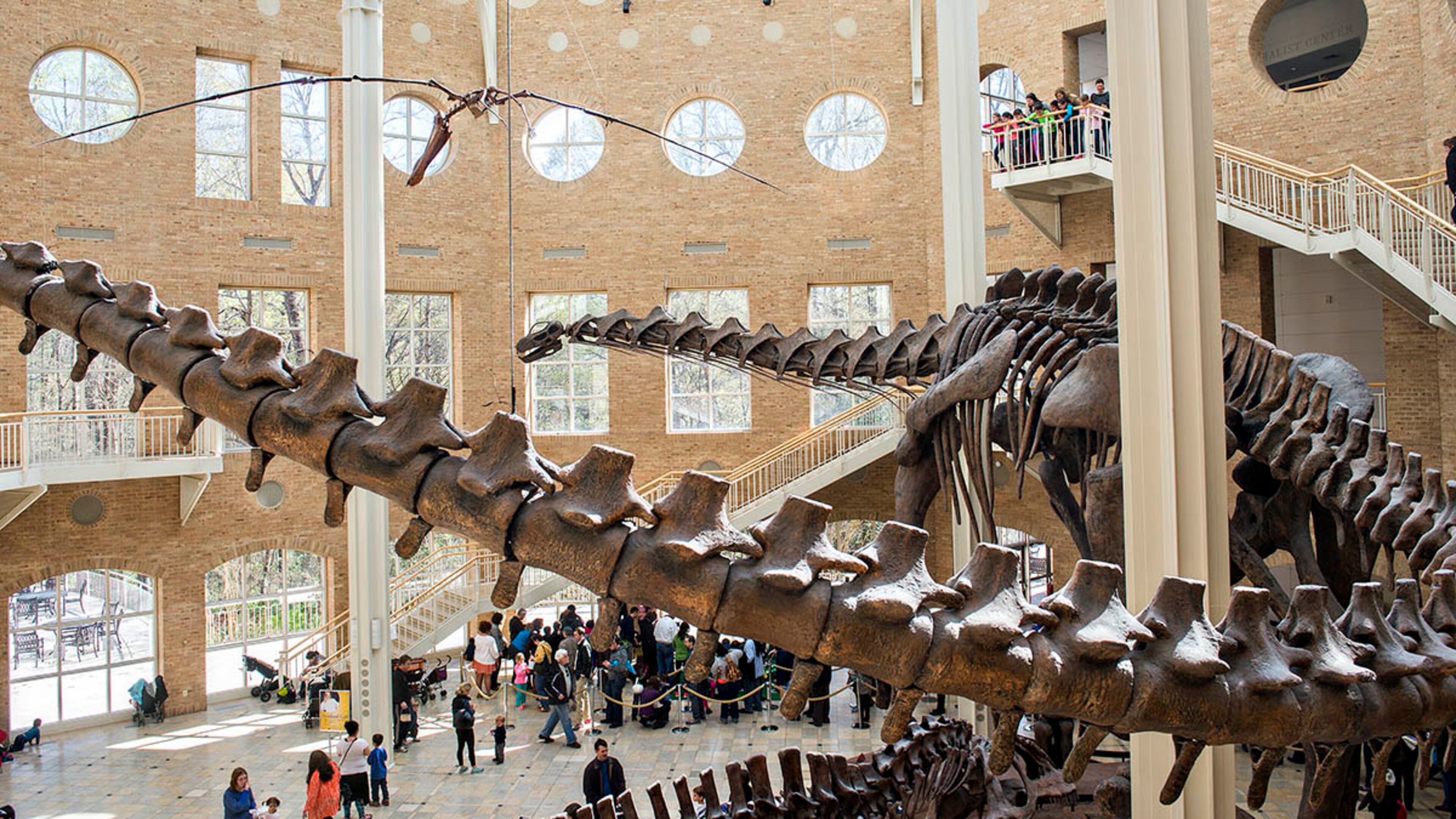 Fernbank needs families Friday to be extras in their commercial.