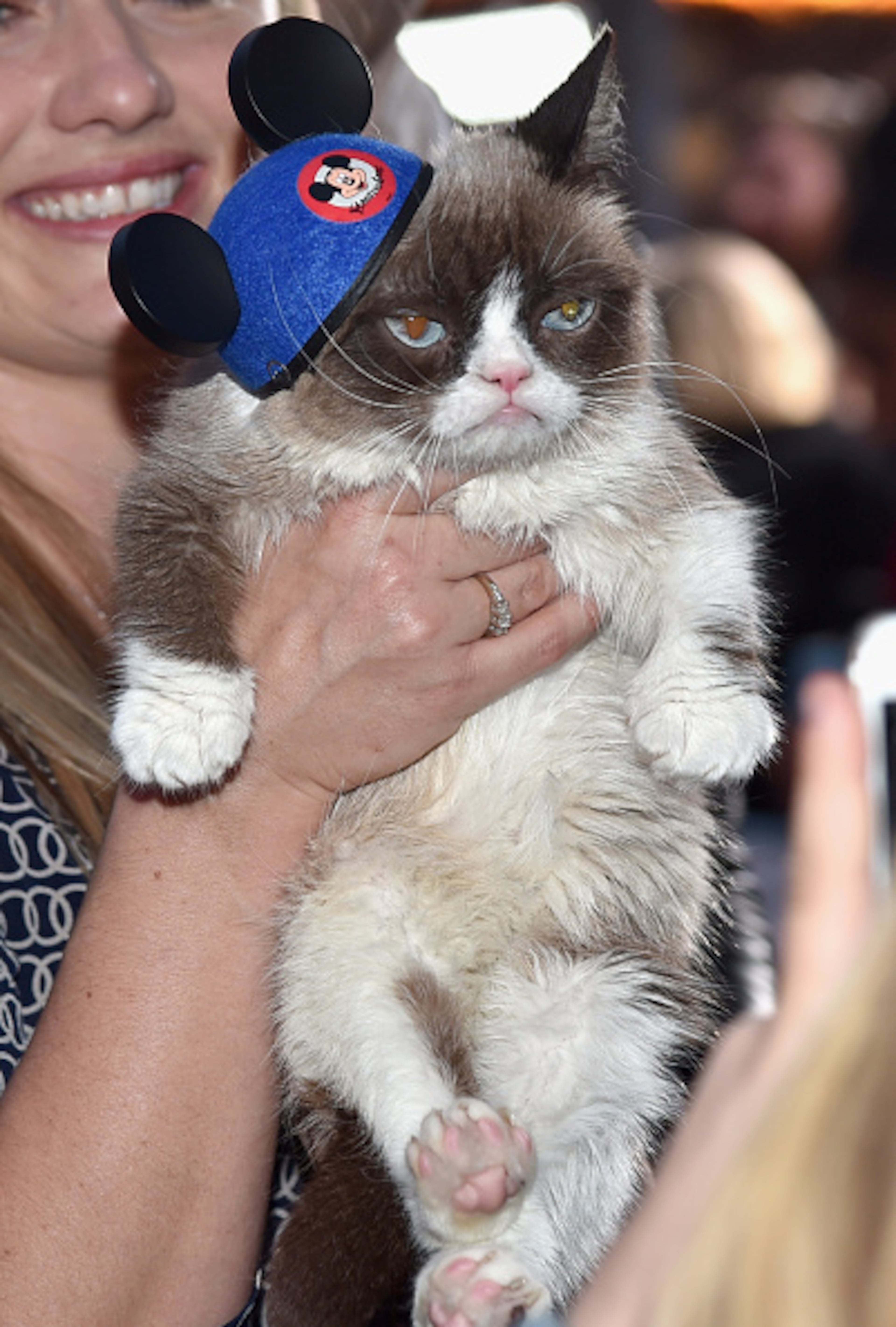 HOLLYWOOD, CA - MARCH 01: Grumpy Cat attends the World Premiere of Disney?s ?Cinderella?, Kenneth Branagh?s breathtaking live-action feature, at the legendary El Capitan Theatre on Hollywood Blvd, on March 1, 2015. The film's stars have been dazzling theater-goer?s and fans alike as they continue their tour around the world. Hollywood, California. (Photo by Alberto E. Rodriguez/Getty Images for Disney)