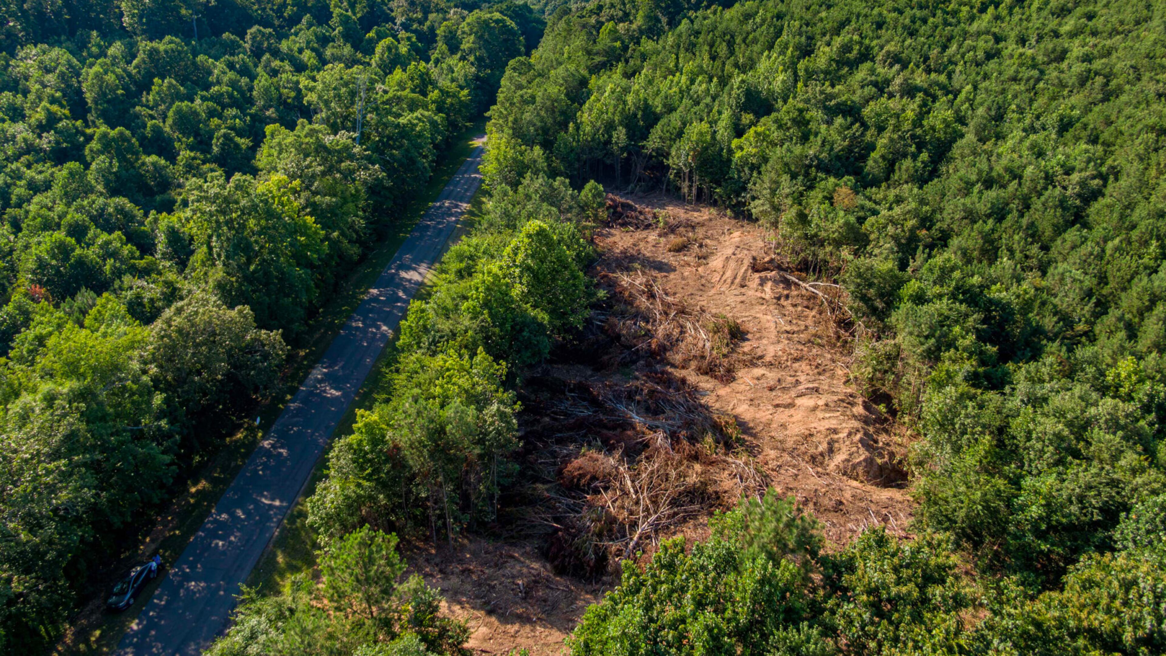A recent development on newly-bought Marshall County land scars the lush green landscape near Lake Guntersville in Alabama. (Photo Courtesy of Lee Hedgepeth/Inside Climate News)